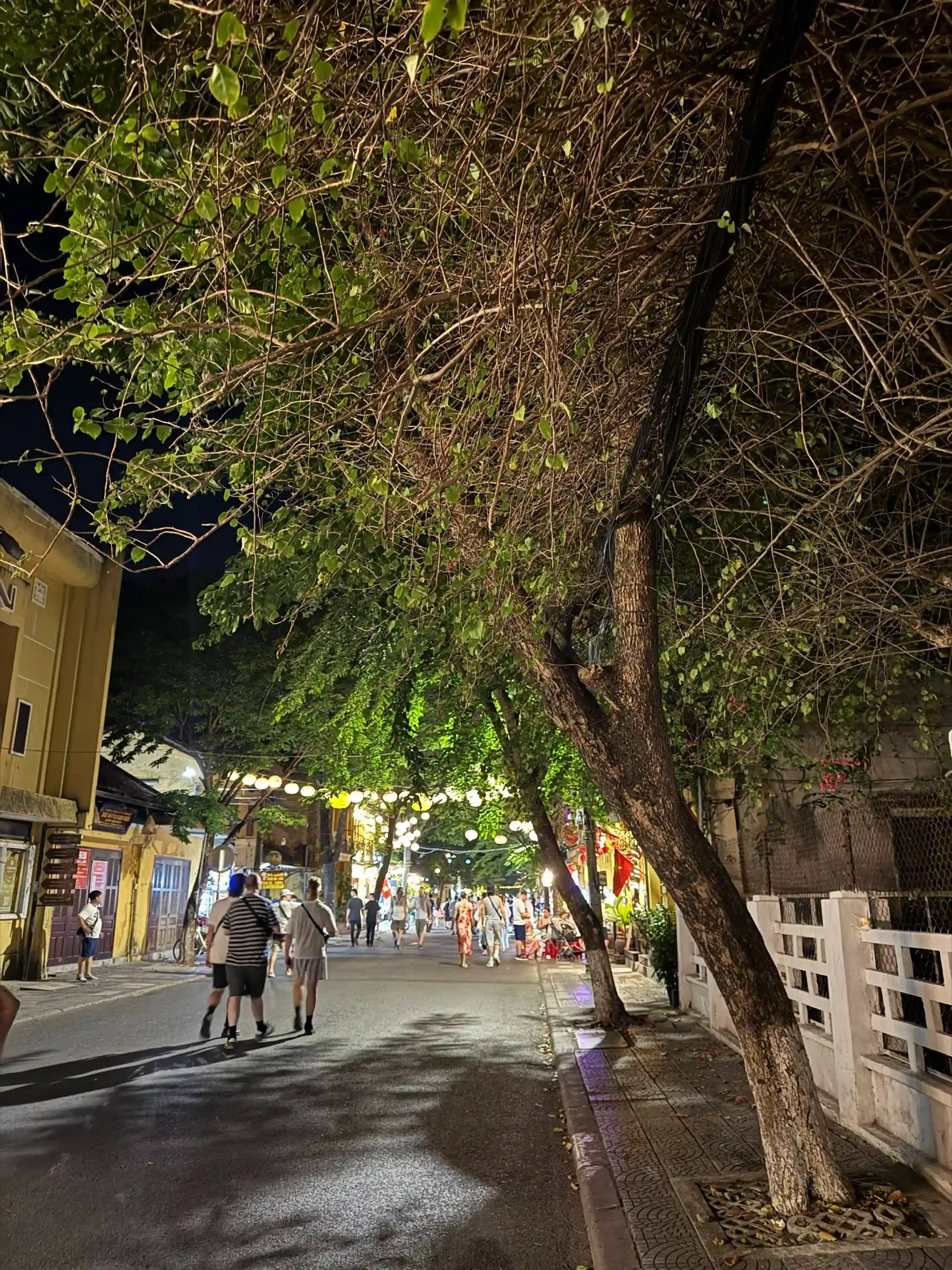 Is Hoi An worth visiting or overrated now in 2026 23 If Youre Going Alone or Worried About Safety Hoi an 2 scaled Vietadvisor