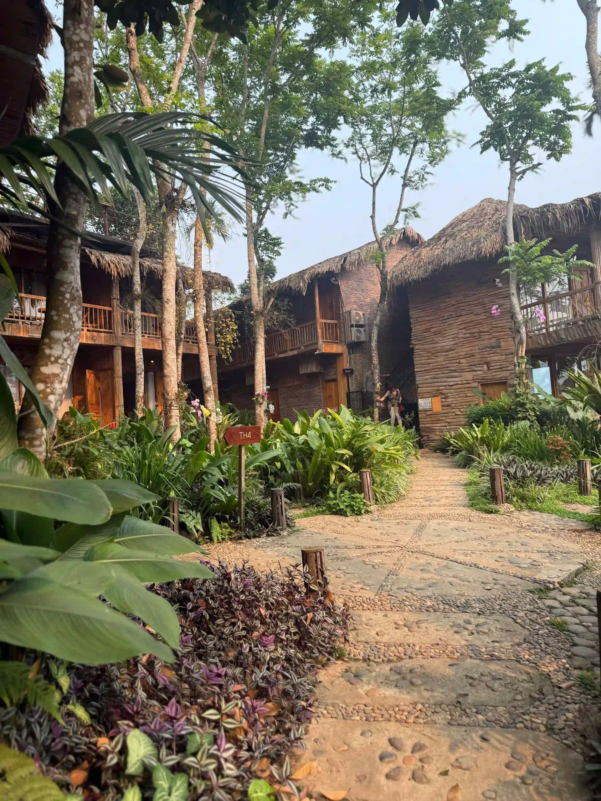 How I traveled from Ninh Binh to Pu Luong with ease (2026) 20 My accommodation Pu luong Natura above one of the rice terrace villages 2 scaled Vietadvisor