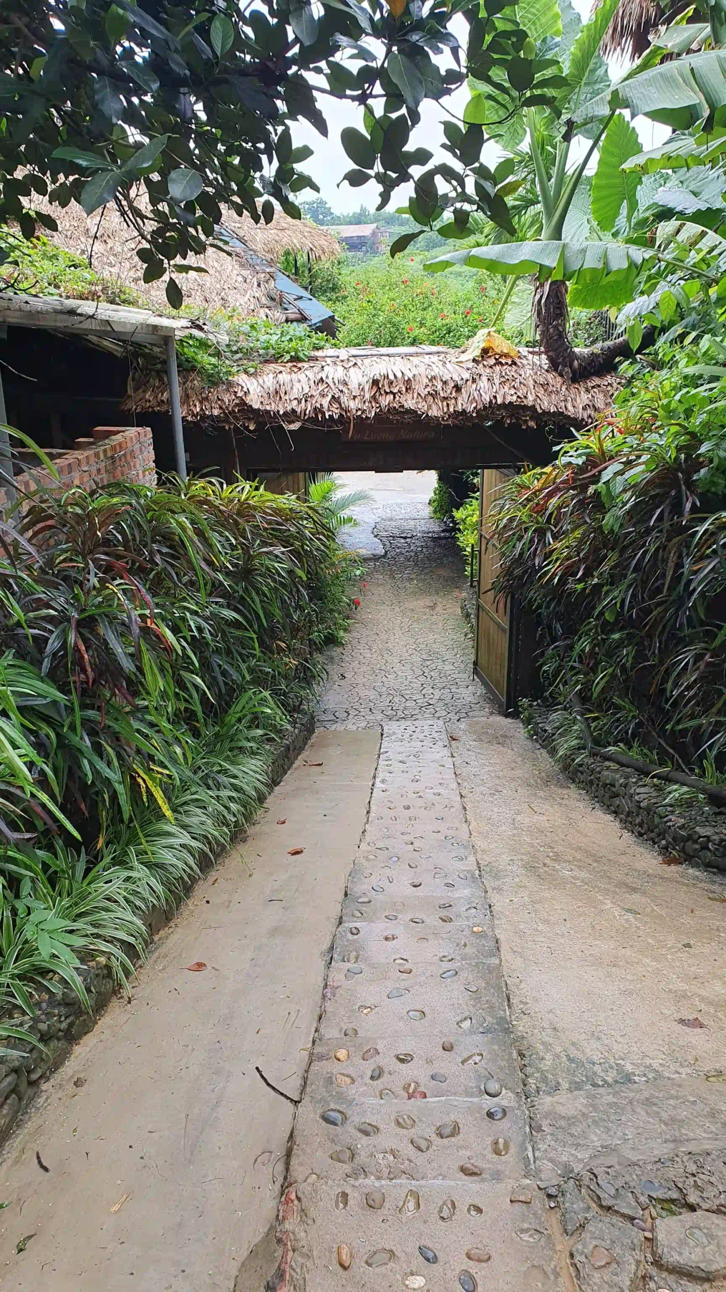 How I traveled from Ninh Binh to Pu Luong with ease (2026) 19 My accommodation Pu luong Natura above one of the rice terrace villages 3 scaled Vietadvisor