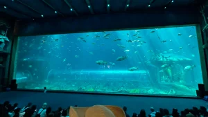 Neptune Palace Aquarium Is the Best Thing in the Park – vinwonders 5