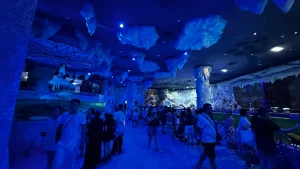 Neptune Palace Aquarium Is the Best Thing in the Park – vinwonders 7