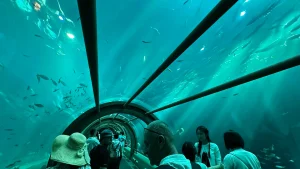Neptune Palace Aquarium Is the Best Thing in the Park – vinwonders 8