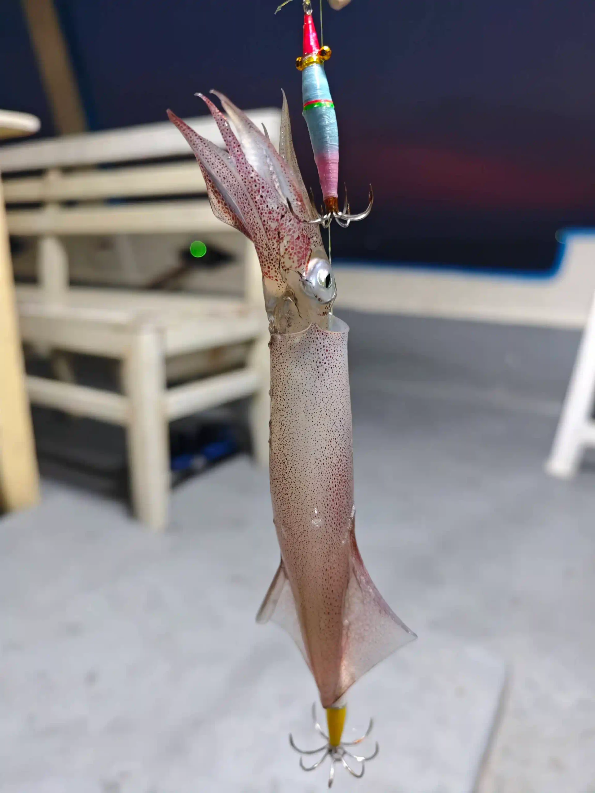 Phu Quoc nightlife: What to do after dark (expat's guide 2026) 43 Night Squid Fishing in phu quoc the One Thing That Isnt a Bar scaled Vietadvisor