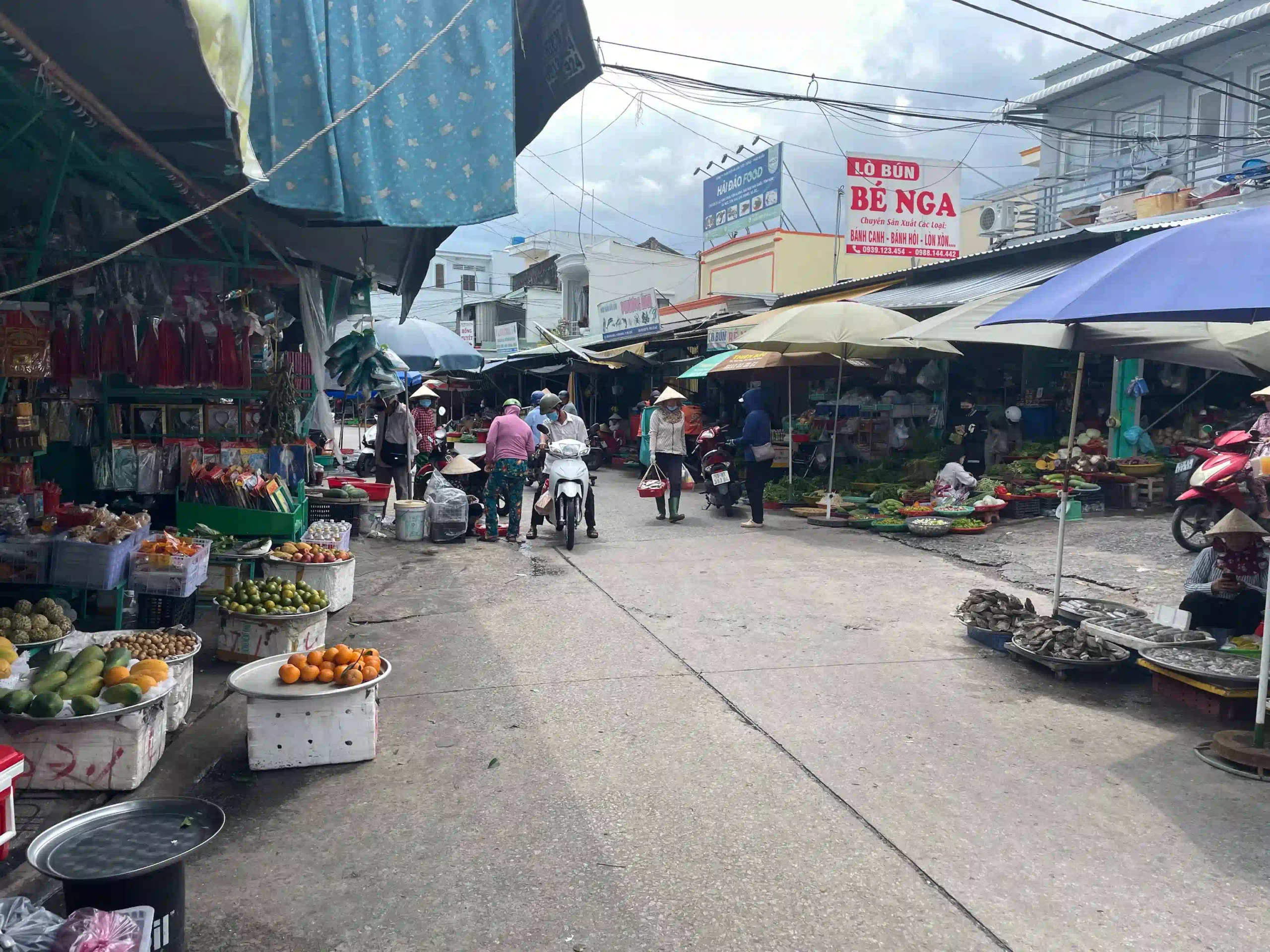 Inside Phu Quoc National Park trekking tour: Is it worth it? 5 Phu Quoc National Park trekking tour