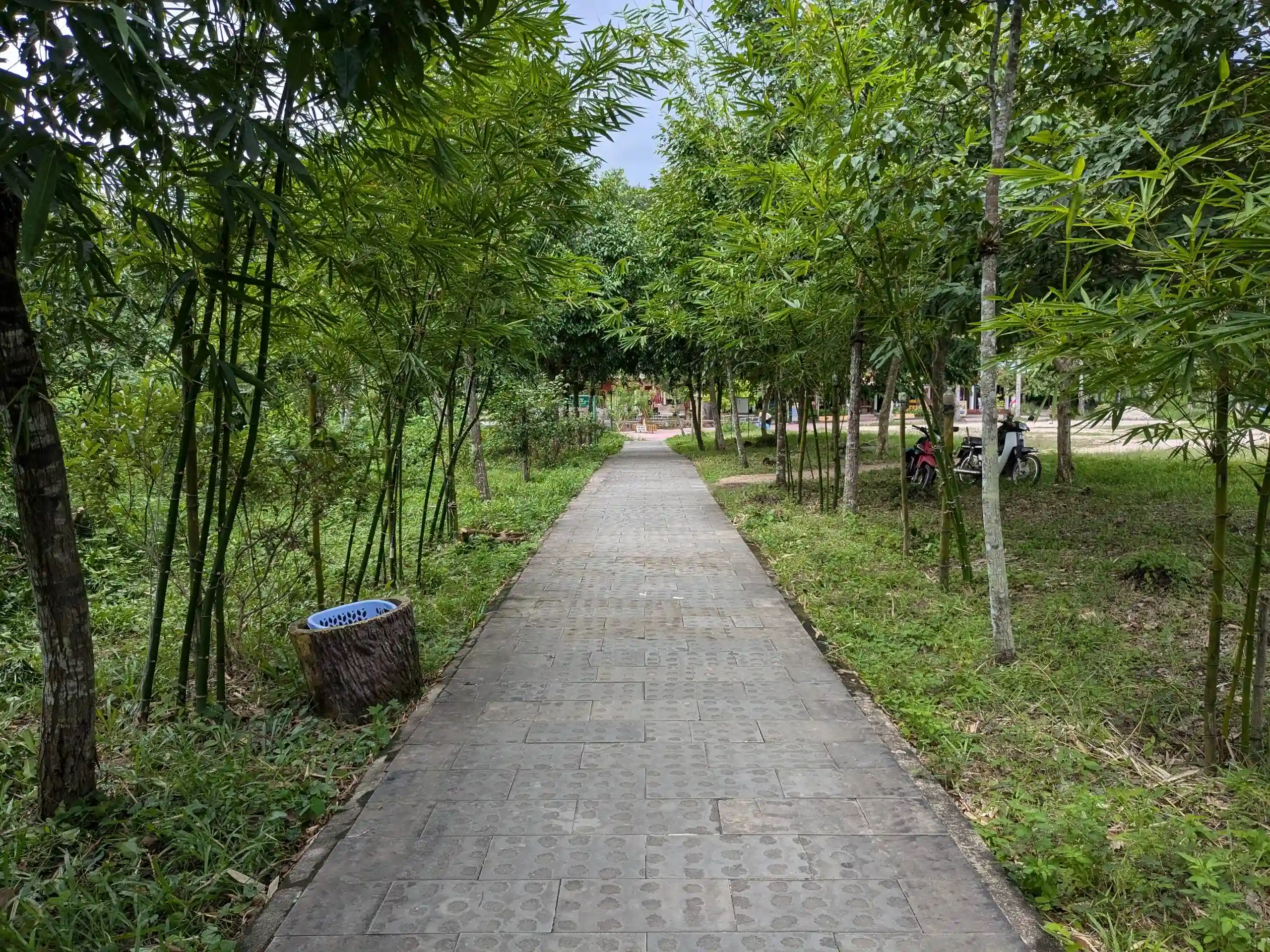 Visit My Son Sanctuary from Hoi An: Motorbike or tour? 9 Riding There Yourself to my son sanctuarry 2 Vietadvisor
