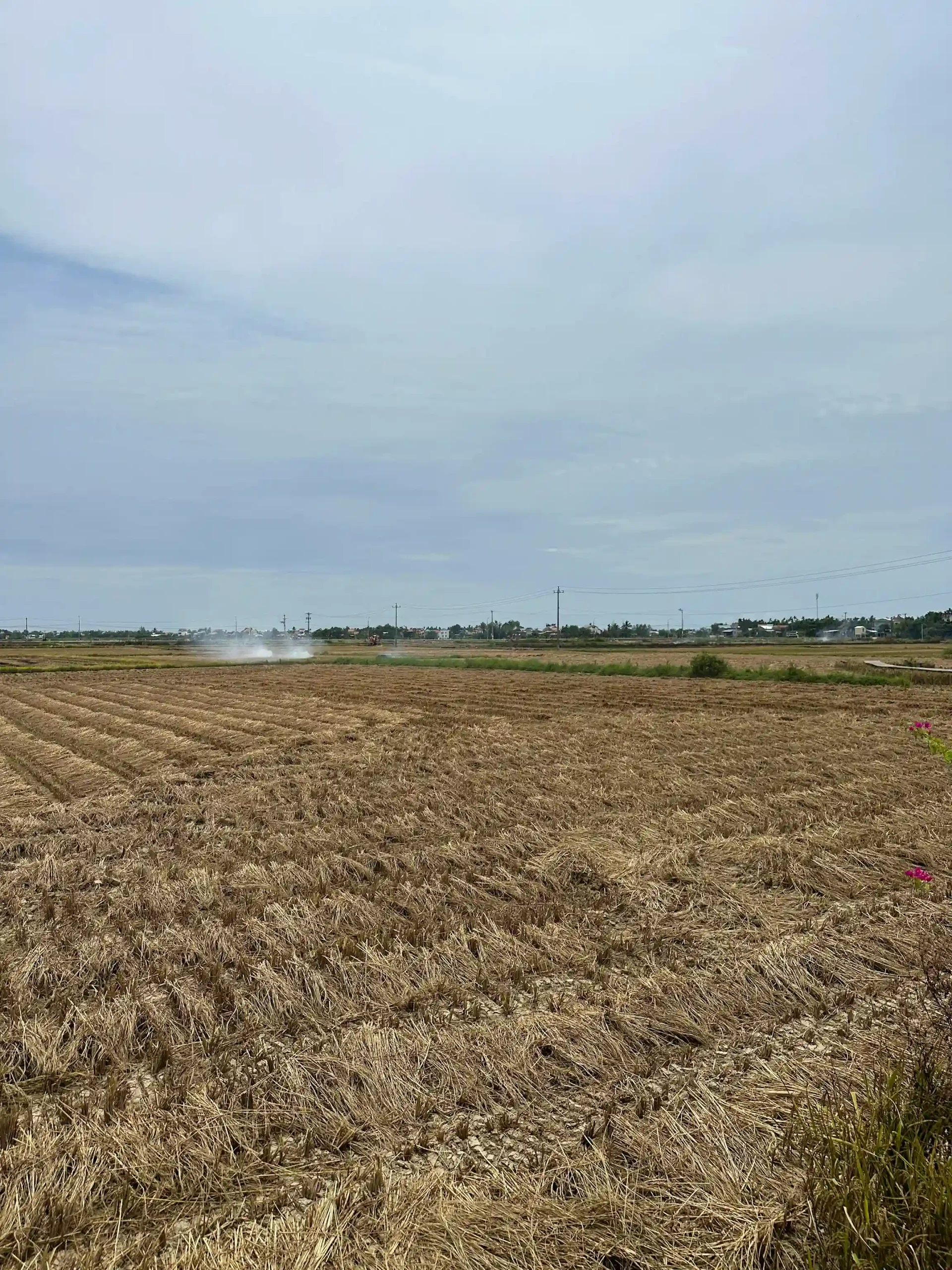 Visit My Son Sanctuary from Hoi An: Motorbike or tour? 7 Riding There Yourself to my son sanctuarry 5 scaled Vietadvisor