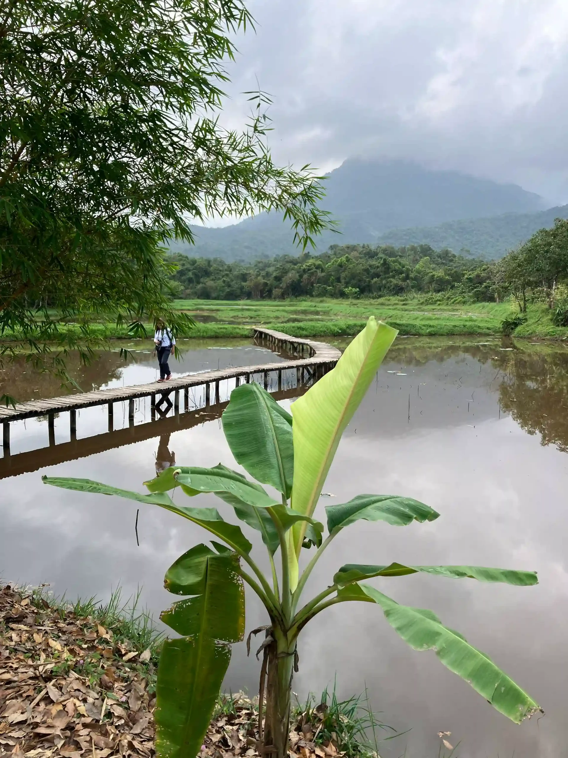 Visit My Son Sanctuary from Hoi An: Motorbike or tour? 6 My Son Sanctuary from Hoi An