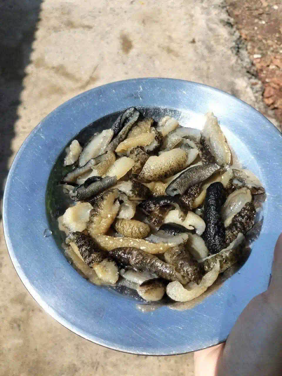 Phu Quoc food guide: Eat like a local (with prices & spots) 27 Sea cucumber soup 2 Vietadvisor