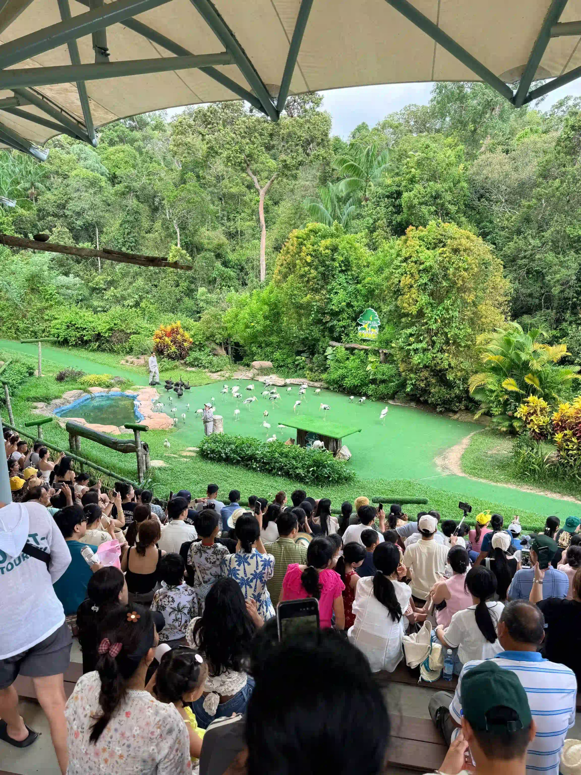 My complete Vinpearl Safari Phu Quoc reviews & cost guide 28 The Animal Shows vinpearl phu quoc 2 scaled Vietadvisor