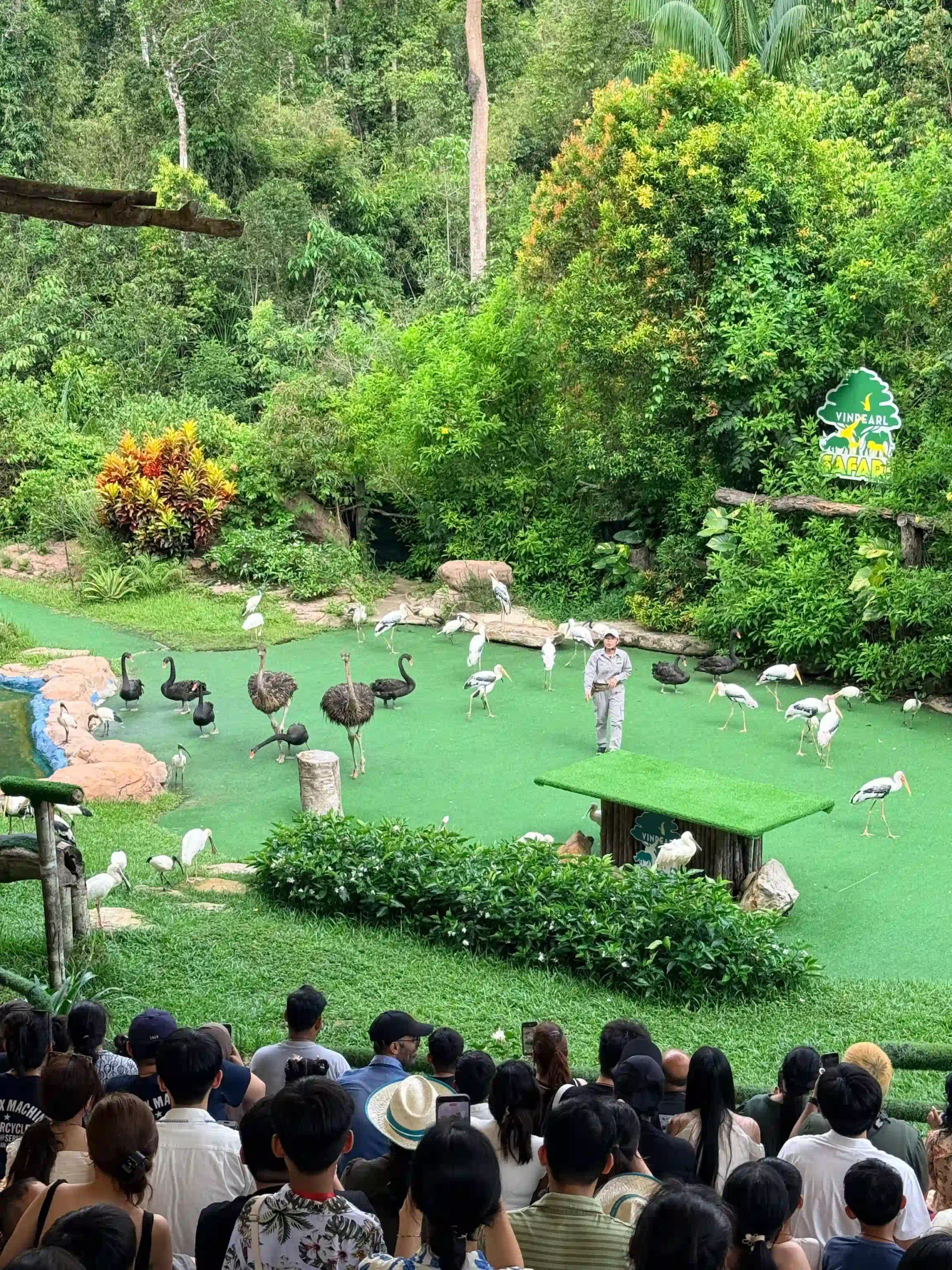 My complete Vinpearl Safari Phu Quoc reviews & cost guide 27 The Animal Shows vinpearl phu quoc 3 scaled Vietadvisor