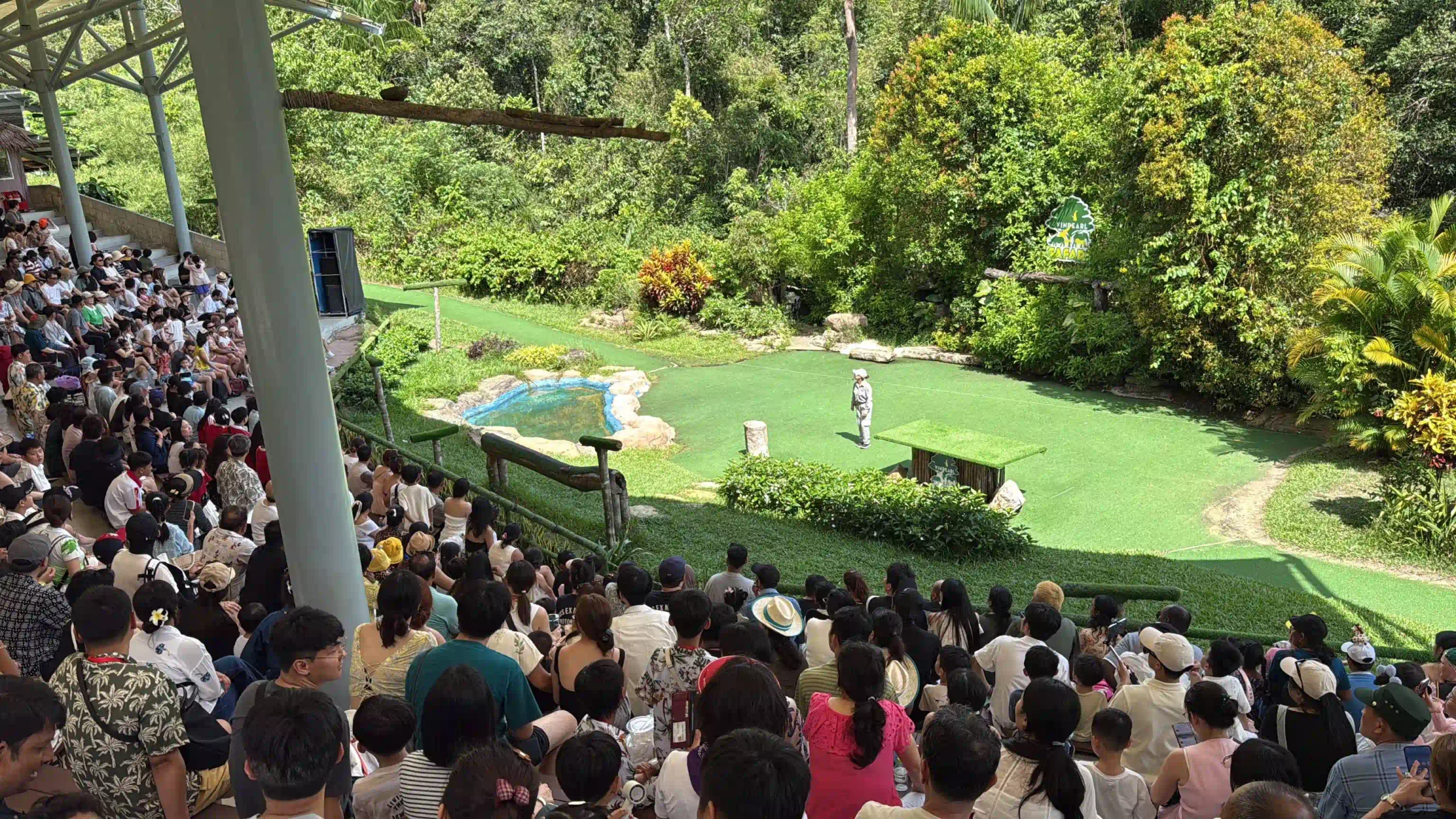 My complete Vinpearl Safari Phu Quoc reviews & cost guide 26 The Animal Shows vinpearl phu quoc scaled Vietadvisor