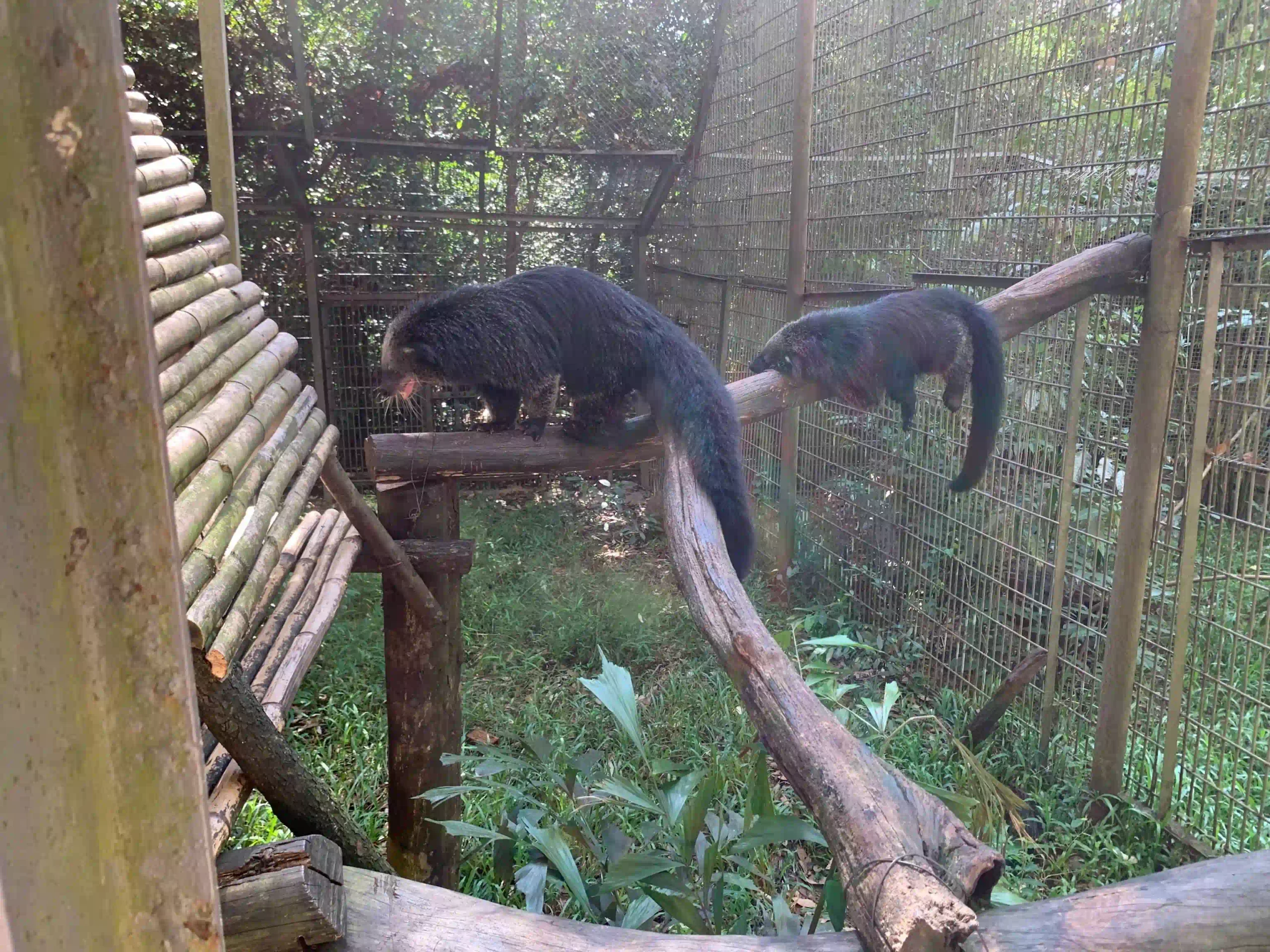 My complete Vinpearl Safari Phu Quoc reviews & cost guide 29 The Animal Welfare Question in Vinpearl Safari Phu Quoc Reviews 6 scaled Vietadvisor