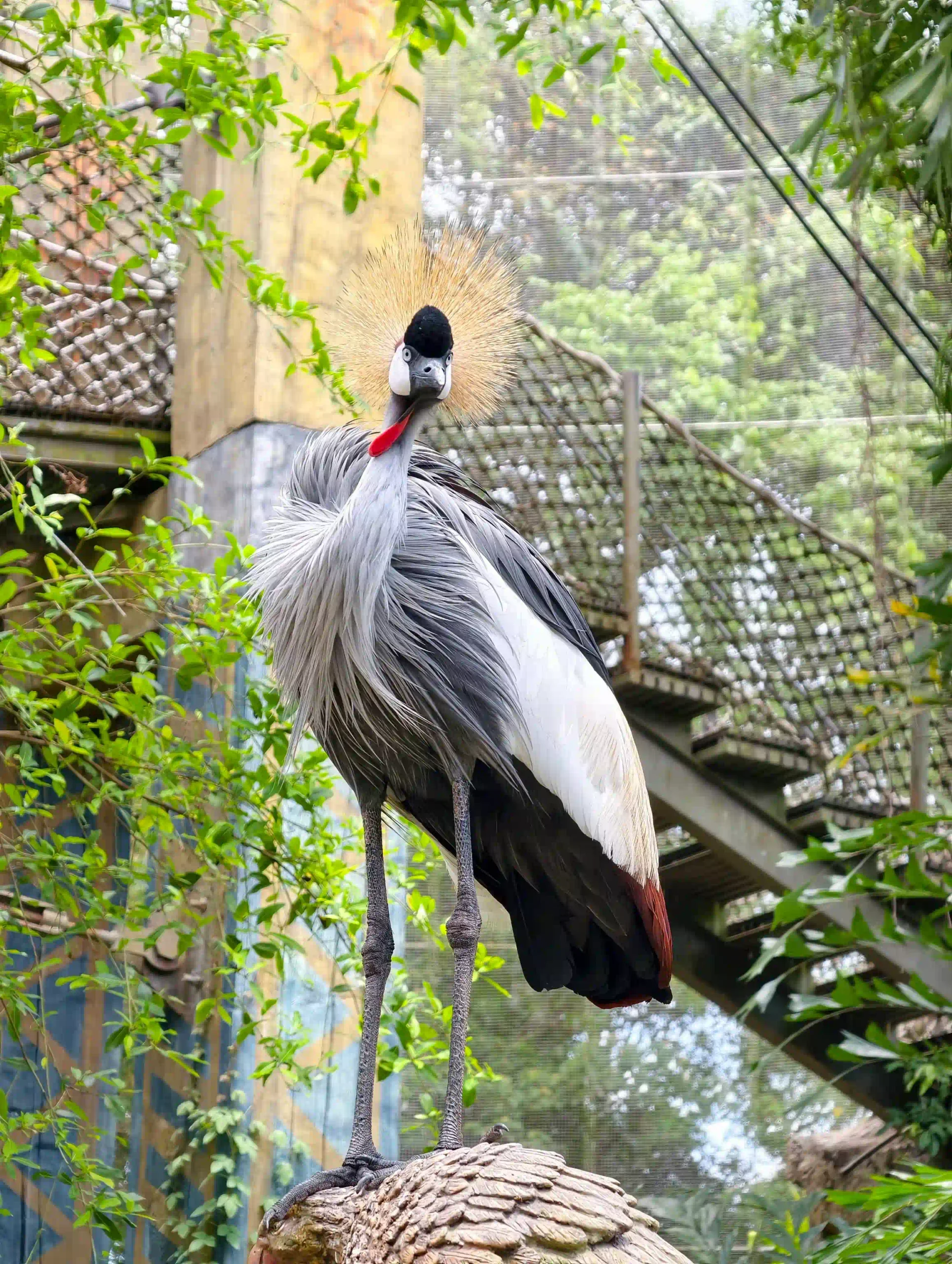 My complete Vinpearl Safari Phu Quoc reviews & cost guide 34 The Animal Welfare Question in Vinpearl Safari Phu Quoc Reviews scaled Vietadvisor