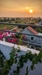 The Fifth Option – The Countryside Cam Thanh Tra Que 2