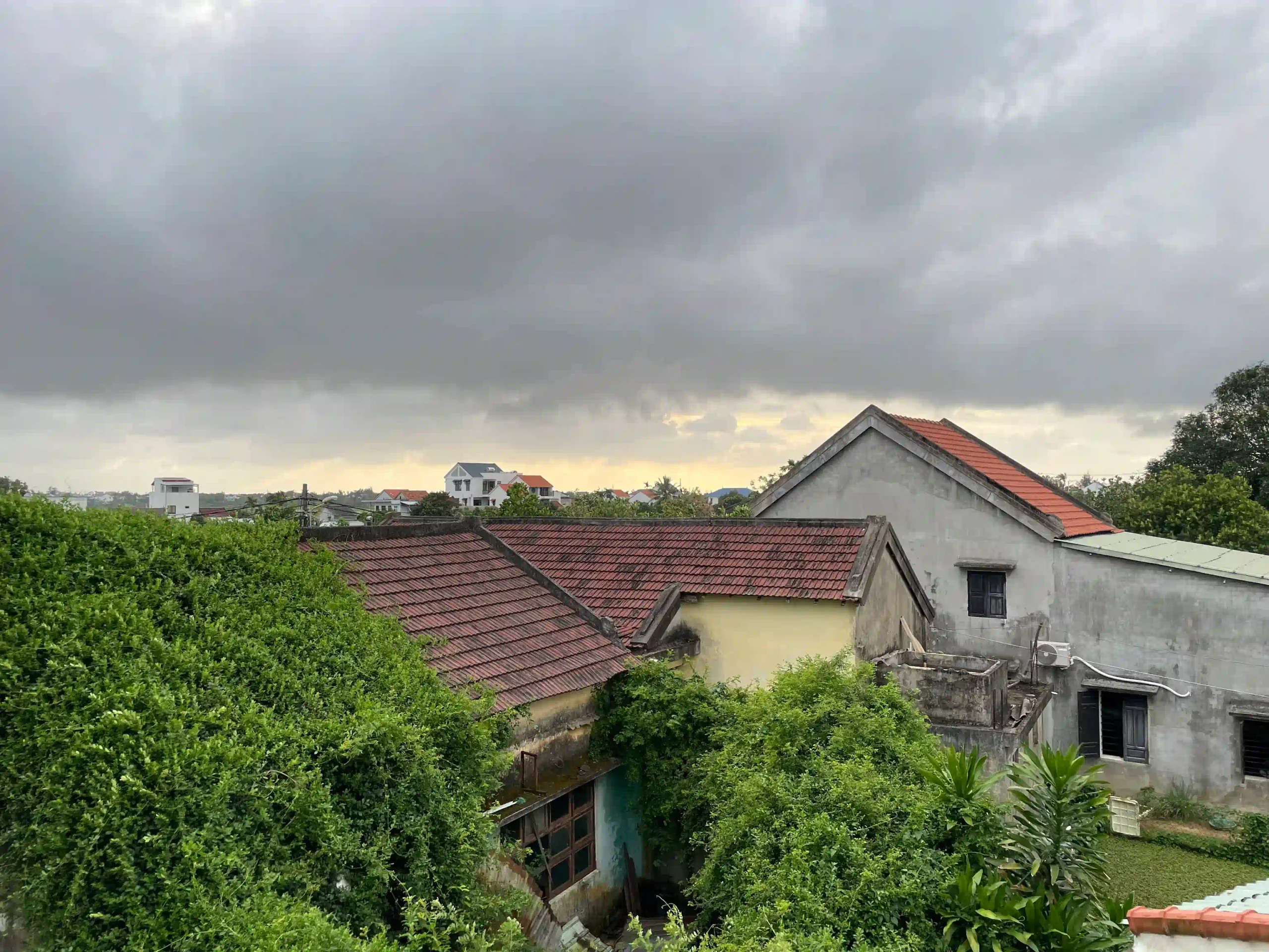 The Fifth Option The Countryside Cam Thanh Tra Que scaled Vietadvisor