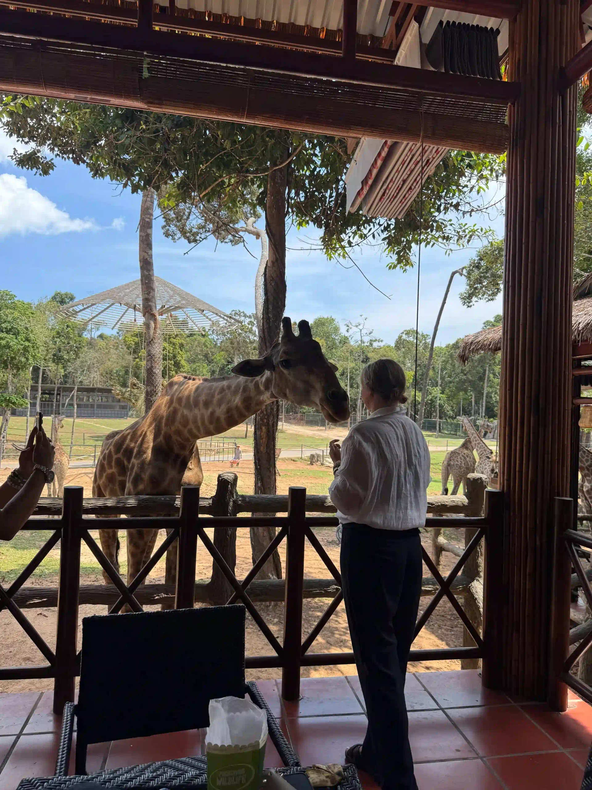 My complete Vinpearl Safari Phu Quoc reviews & cost guide 21 The Giraffe Restaurant vinpearl safari 3 scaled Vietadvisor