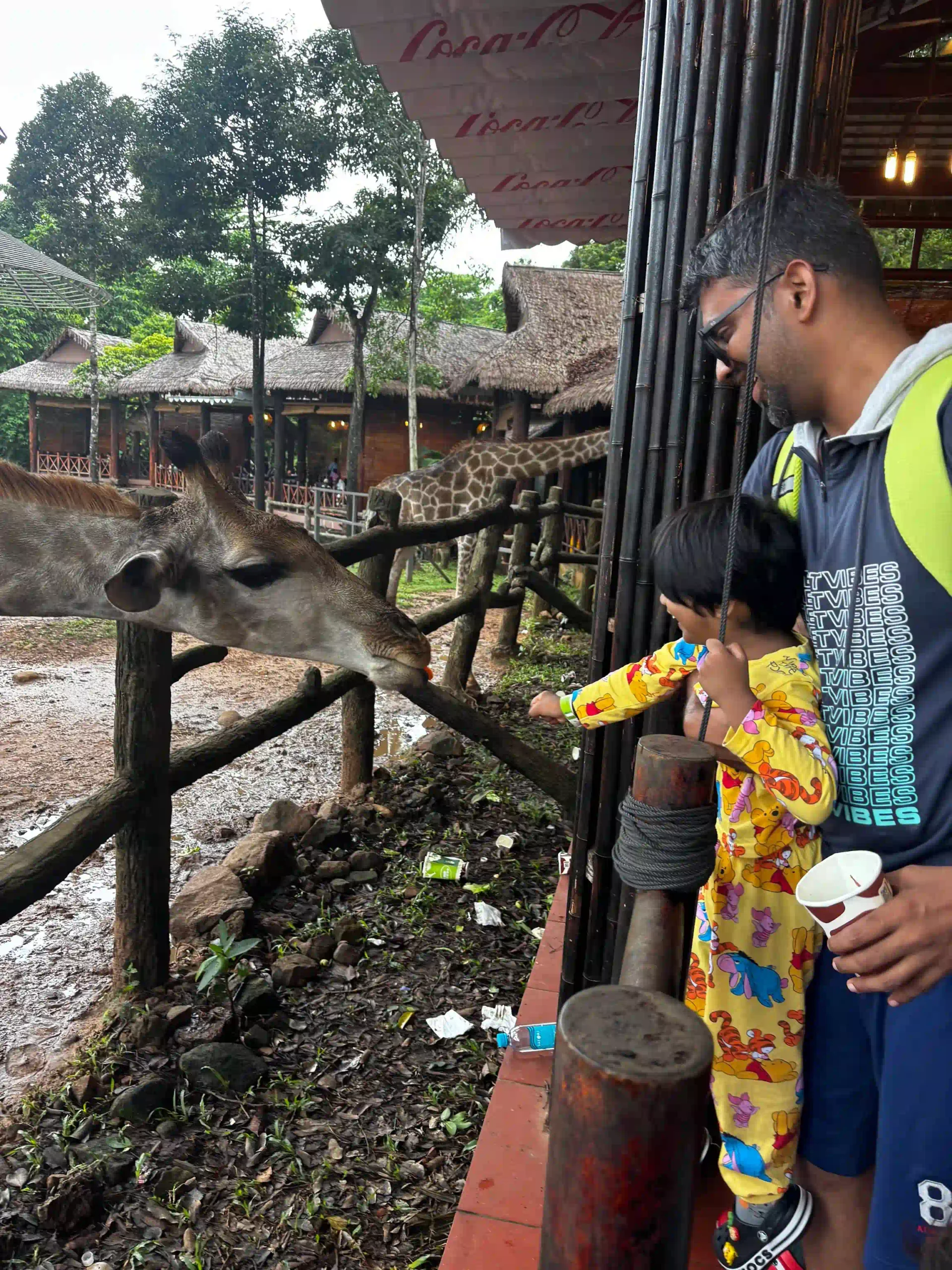 My complete Vinpearl Safari Phu Quoc reviews & cost guide 23 The Giraffe Restaurant vinpearl safari 5 scaled Vietadvisor