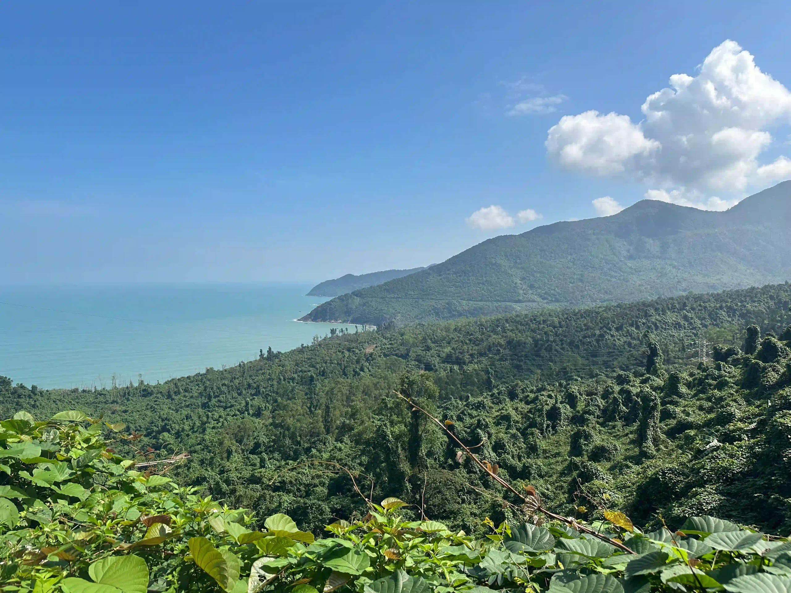 Hai Van Pass easy rider (Hoi An to Hue): Solo female guide 6 The Hai Van Pass 3 scaled Vietadvisor