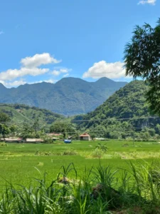 The Ninh Binh to Pu Luong Drive Itself 13