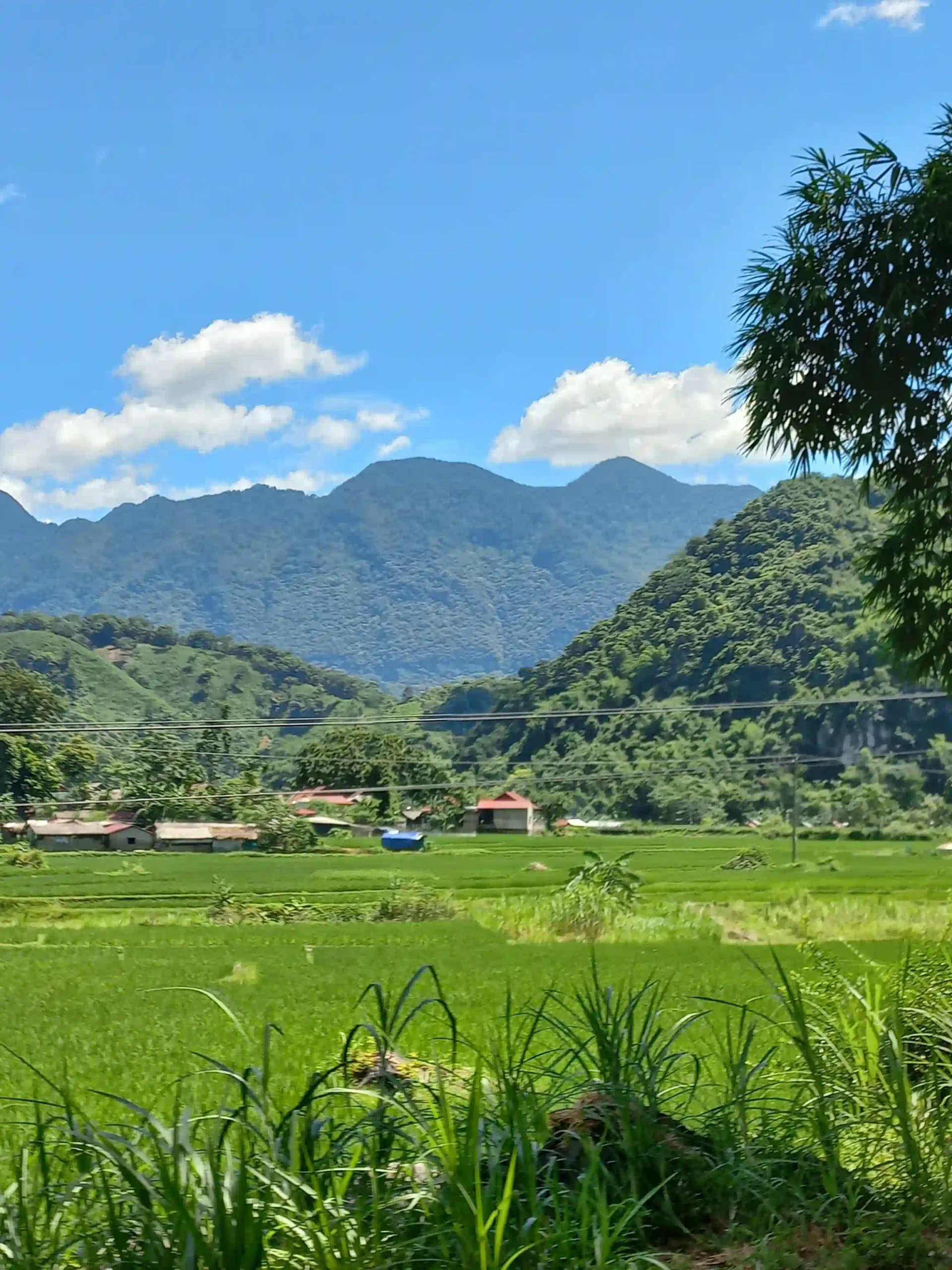 How I traveled from Ninh Binh to Pu Luong with ease (2026) 11 The Ninh Binh to Pu Luong Drive Itself 13 scaled Vietadvisor