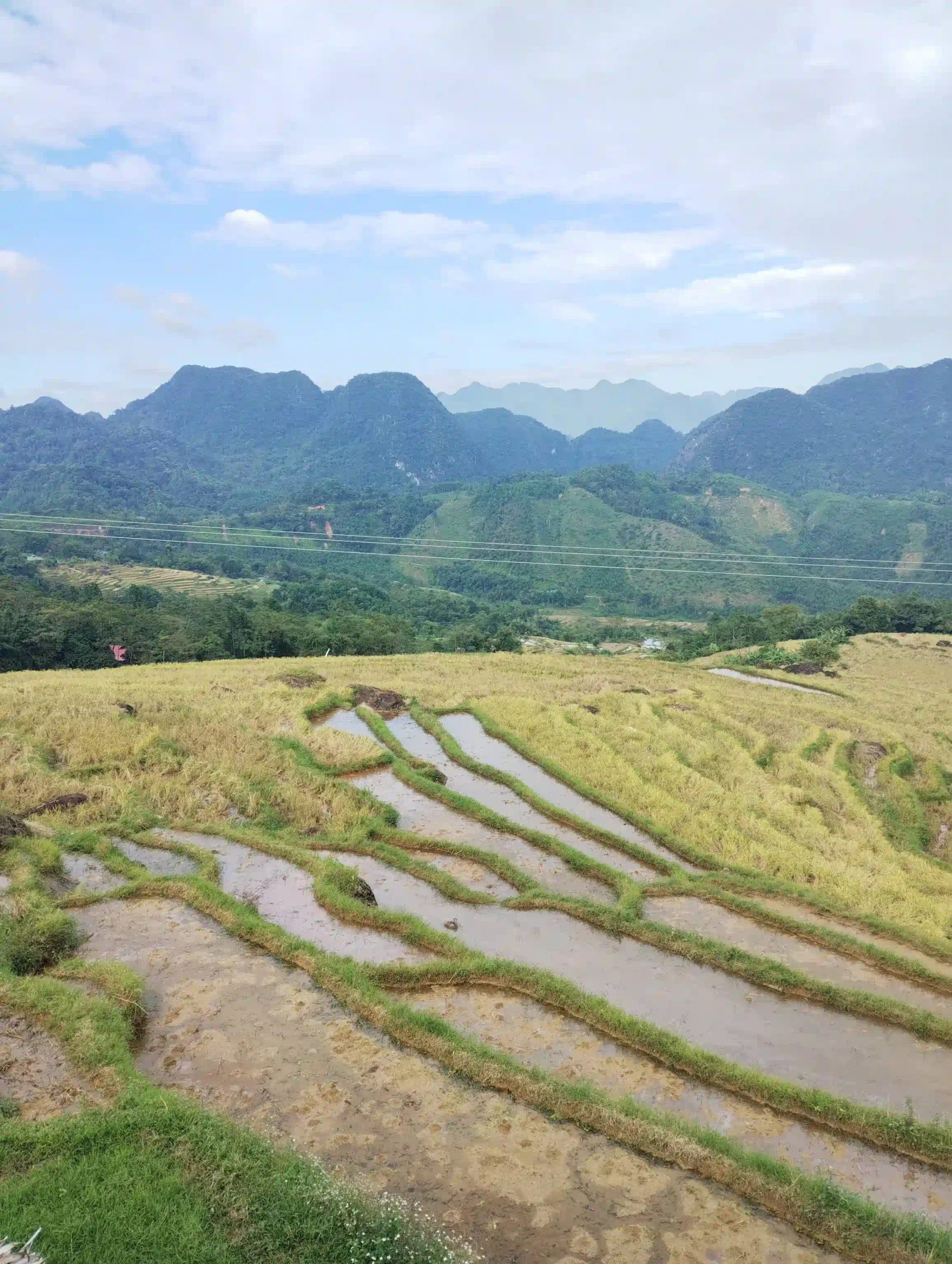 How I traveled from Ninh Binh to Pu Luong with ease (2026) 12 The Ninh Binh to Pu Luong Drive Itself 9 scaled Vietadvisor