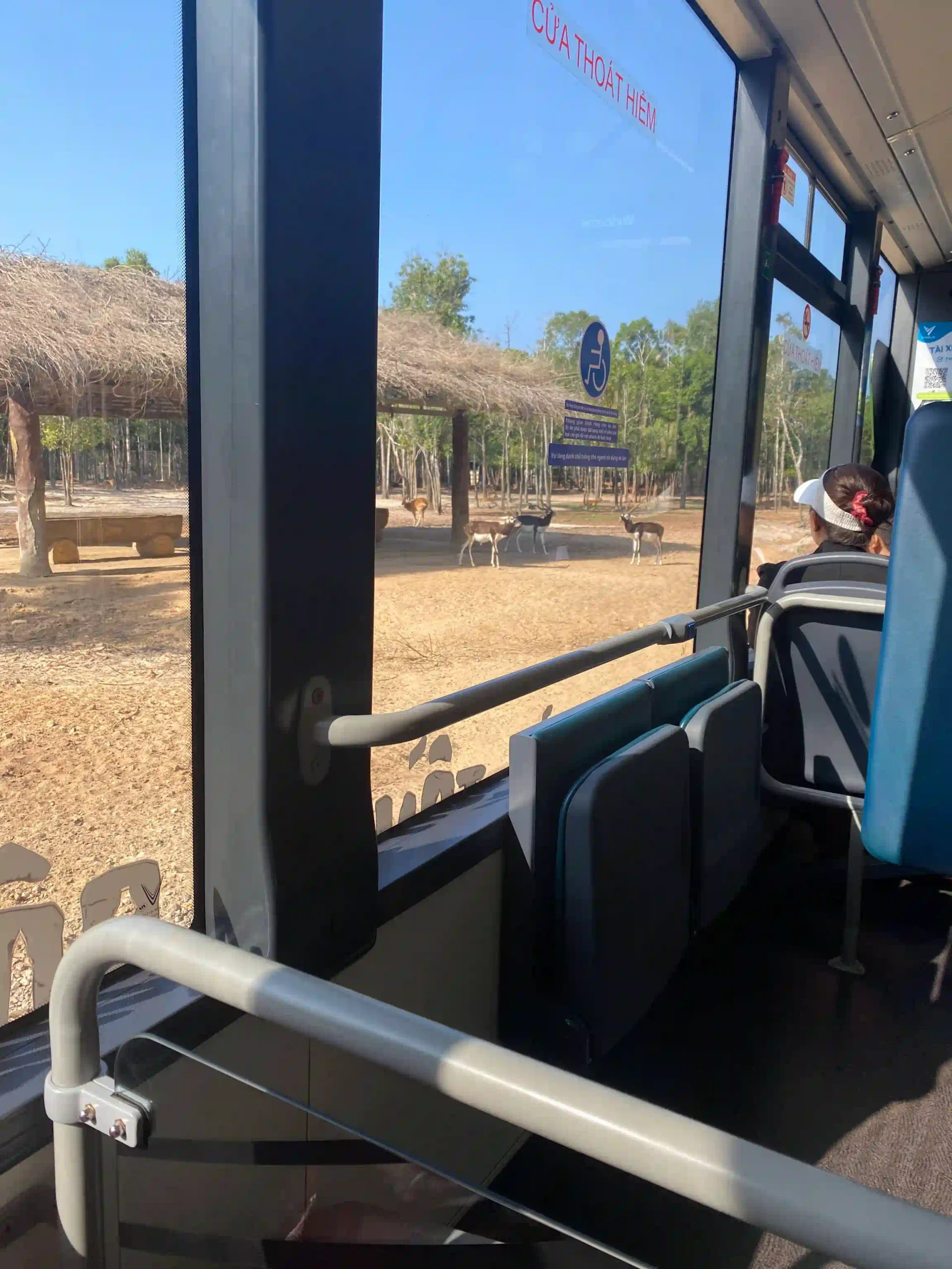 My complete Vinpearl Safari Phu Quoc reviews & cost guide 7 The Safari Bus phu quoc 5 scaled Vietadvisor