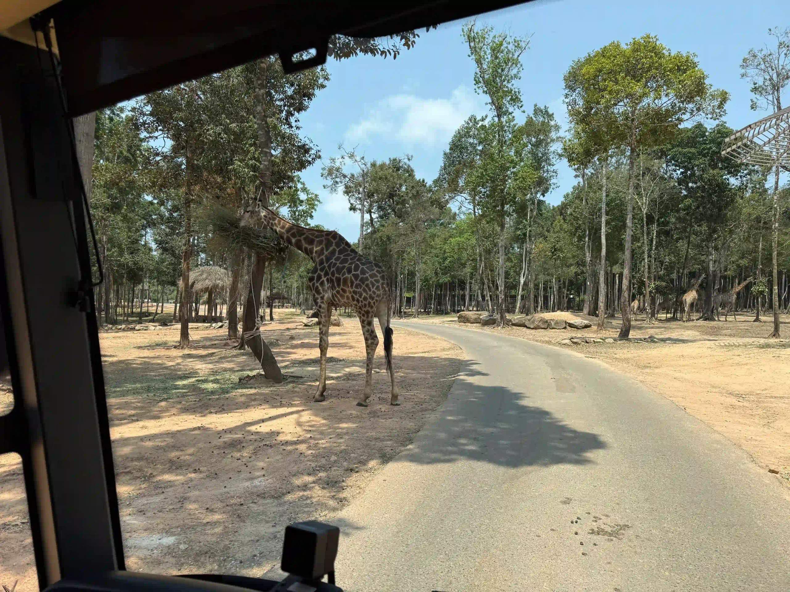 My complete Vinpearl Safari Phu Quoc reviews & cost guide 4 Vinpearl Safari Phu Quoc reviews
