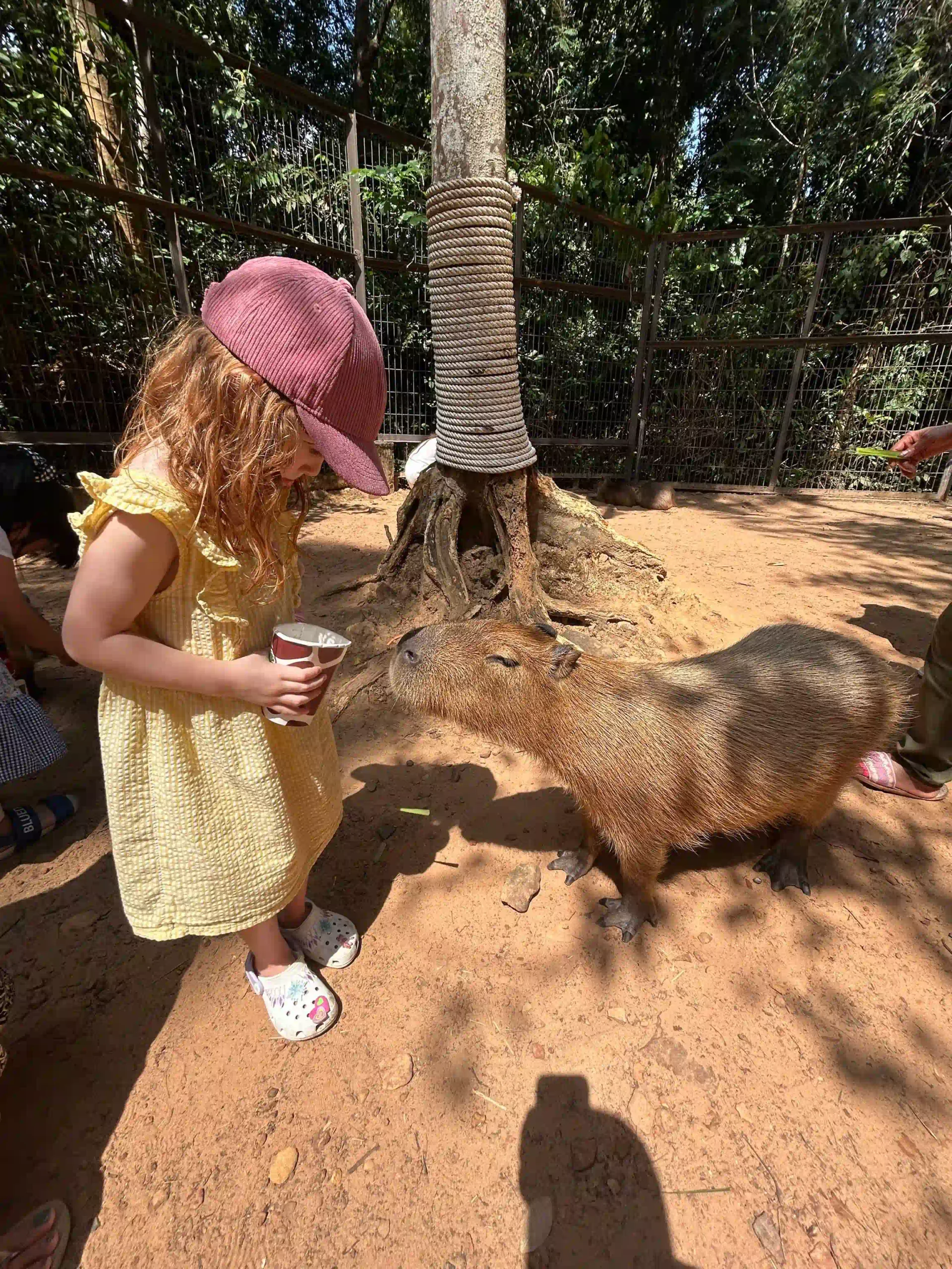 My complete Vinpearl Safari Phu Quoc reviews & cost guide 13 The Walking Zoo and What Youll Actually See vinpearl safari 7 scaled Vietadvisor