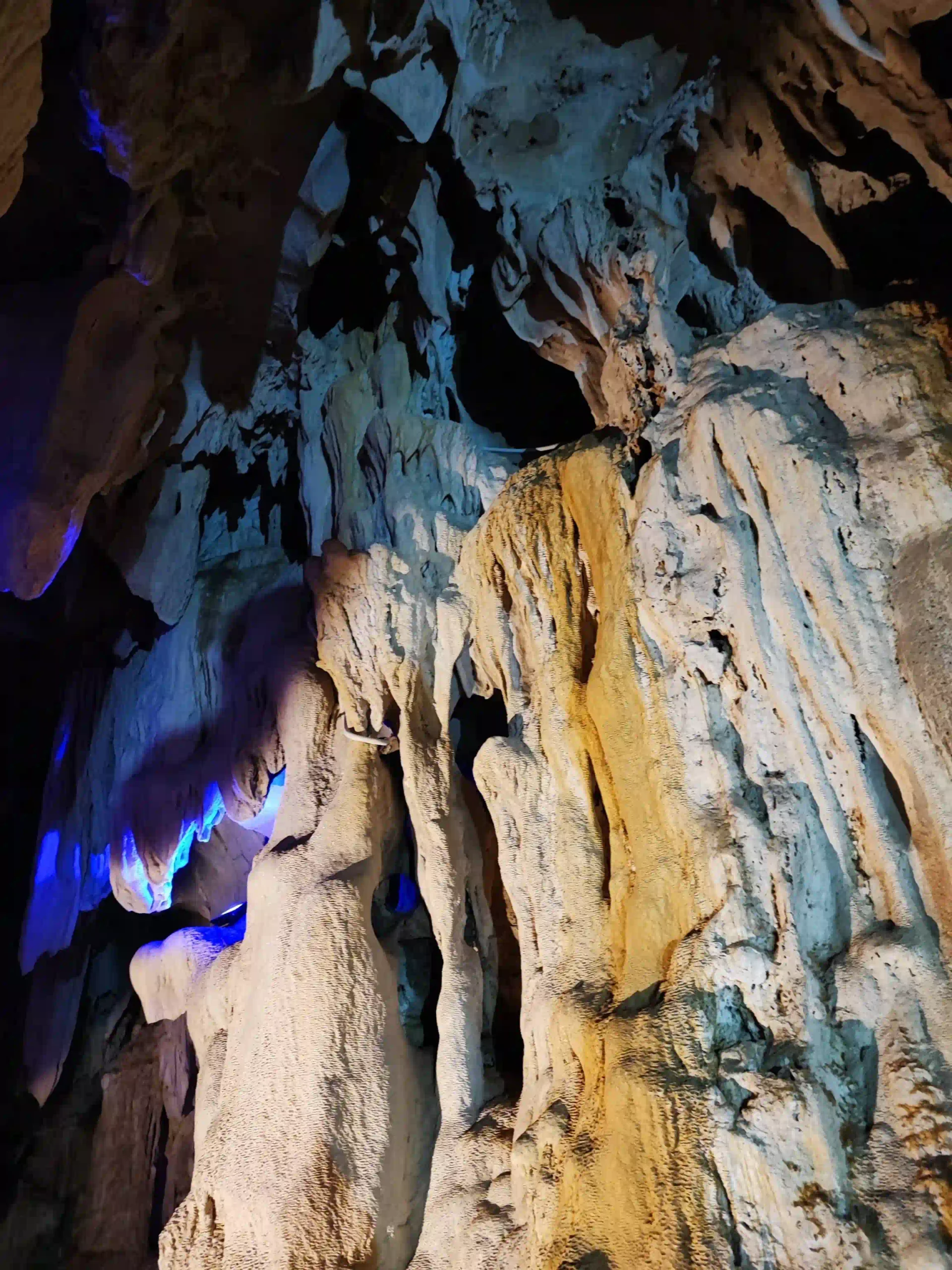 Inside Phu Quoc National Park trekking tour: Is it worth it? 26 The cave or the stream that isnt running phu quoc trekking tour 2 scaled Vietadvisor