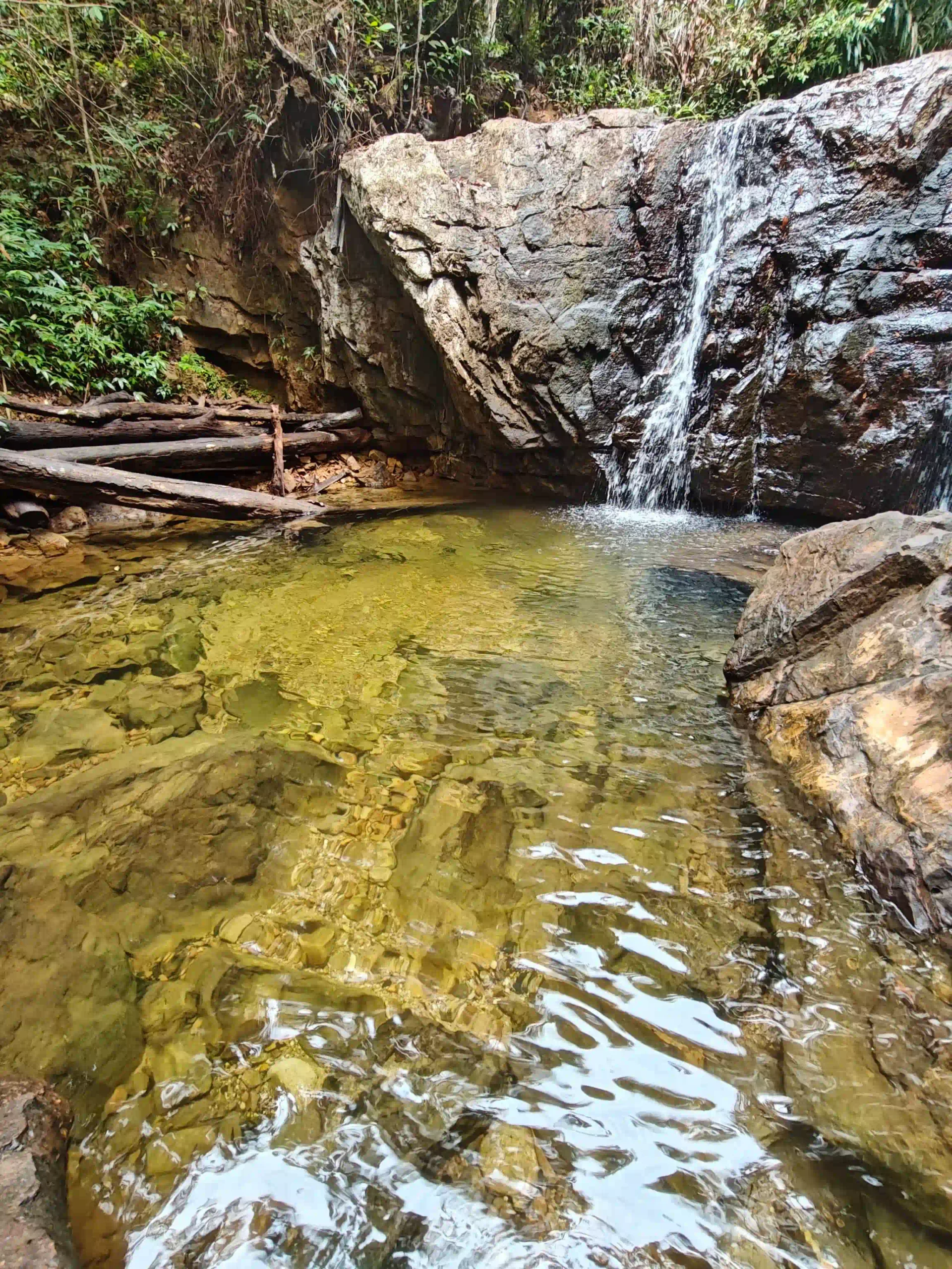 Inside Phu Quoc National Park trekking tour: Is it worth it? 28 The cave or the stream that isnt running phu quoc trekking tour 5 scaled Vietadvisor