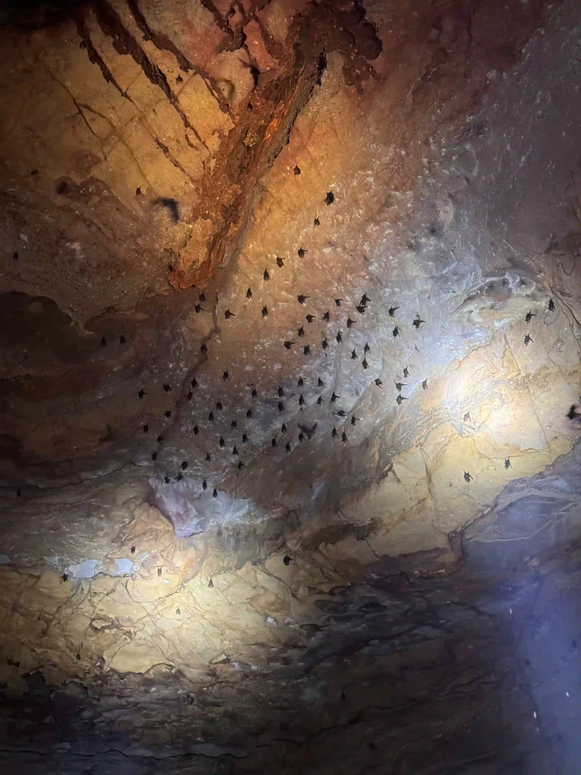 Inside Phu Quoc National Park trekking tour: Is it worth it? 25 The cave or the stream that isnt running phu quoc trekking tour 7 scaled Vietadvisor
