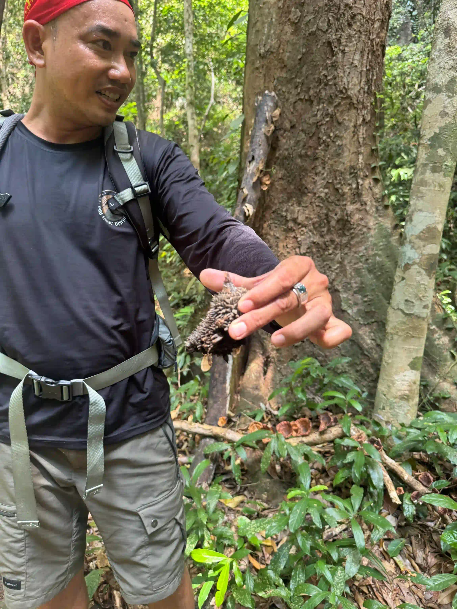 Inside Phu Quoc National Park trekking tour: Is it worth it? 10 Phu Quoc National Park trekking tour