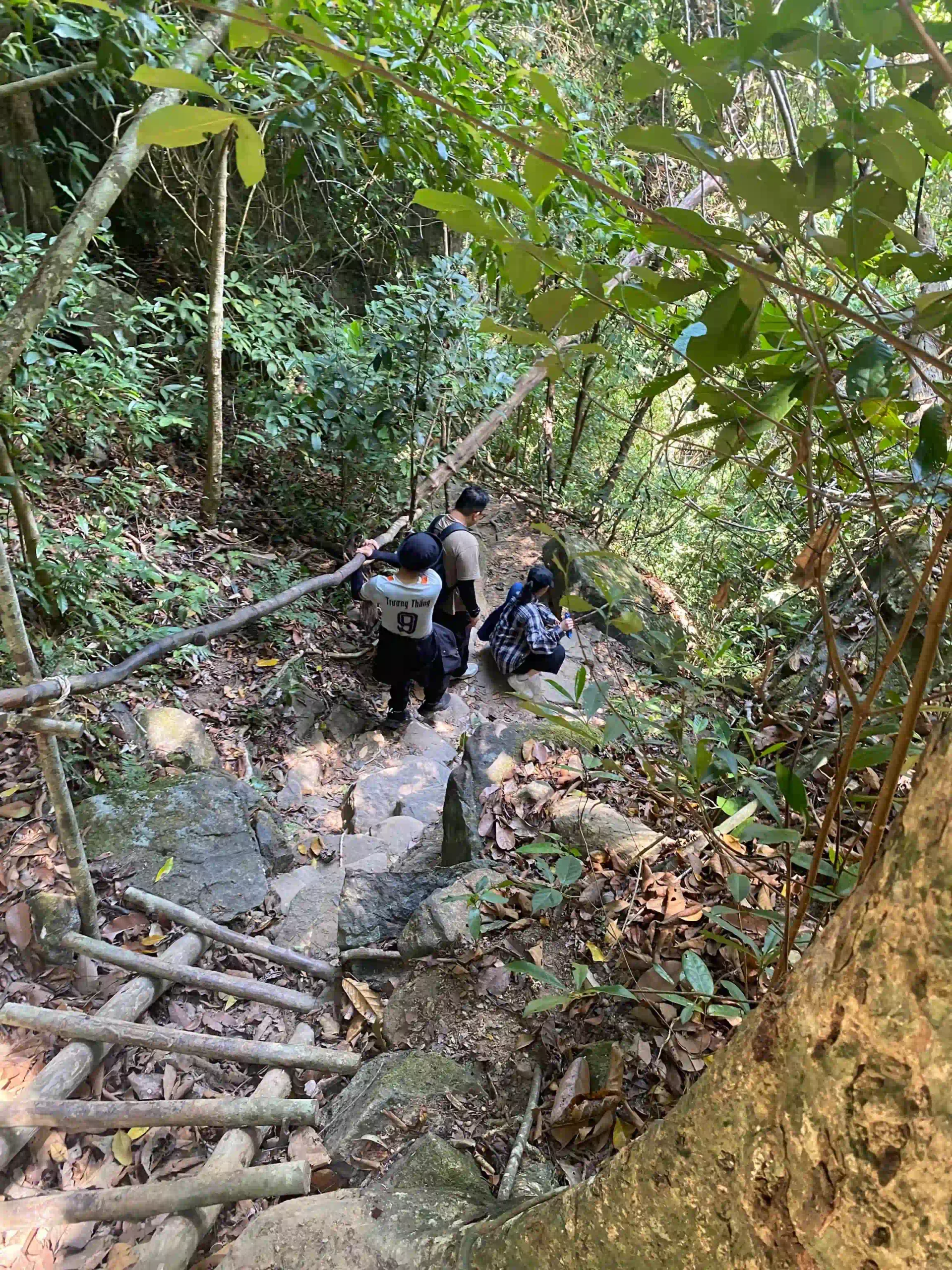 Inside Phu Quoc National Park trekking tour: Is it worth it? 17 The climb phu quoc national park trekking 3 scaled Vietadvisor