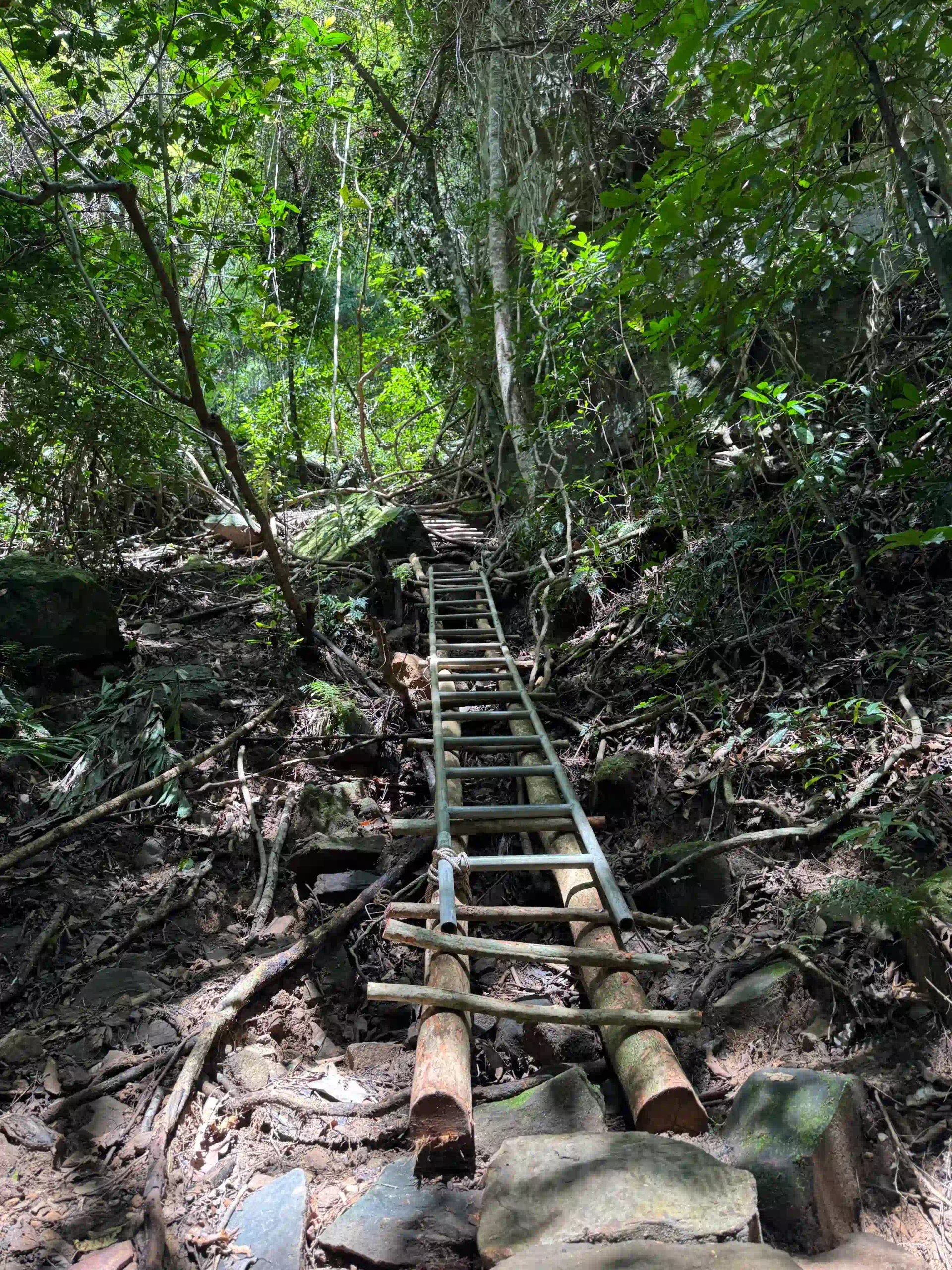 Inside Phu Quoc National Park trekking tour: Is it worth it? 15 The climb phu quoc national park trekking 7 scaled Vietadvisor