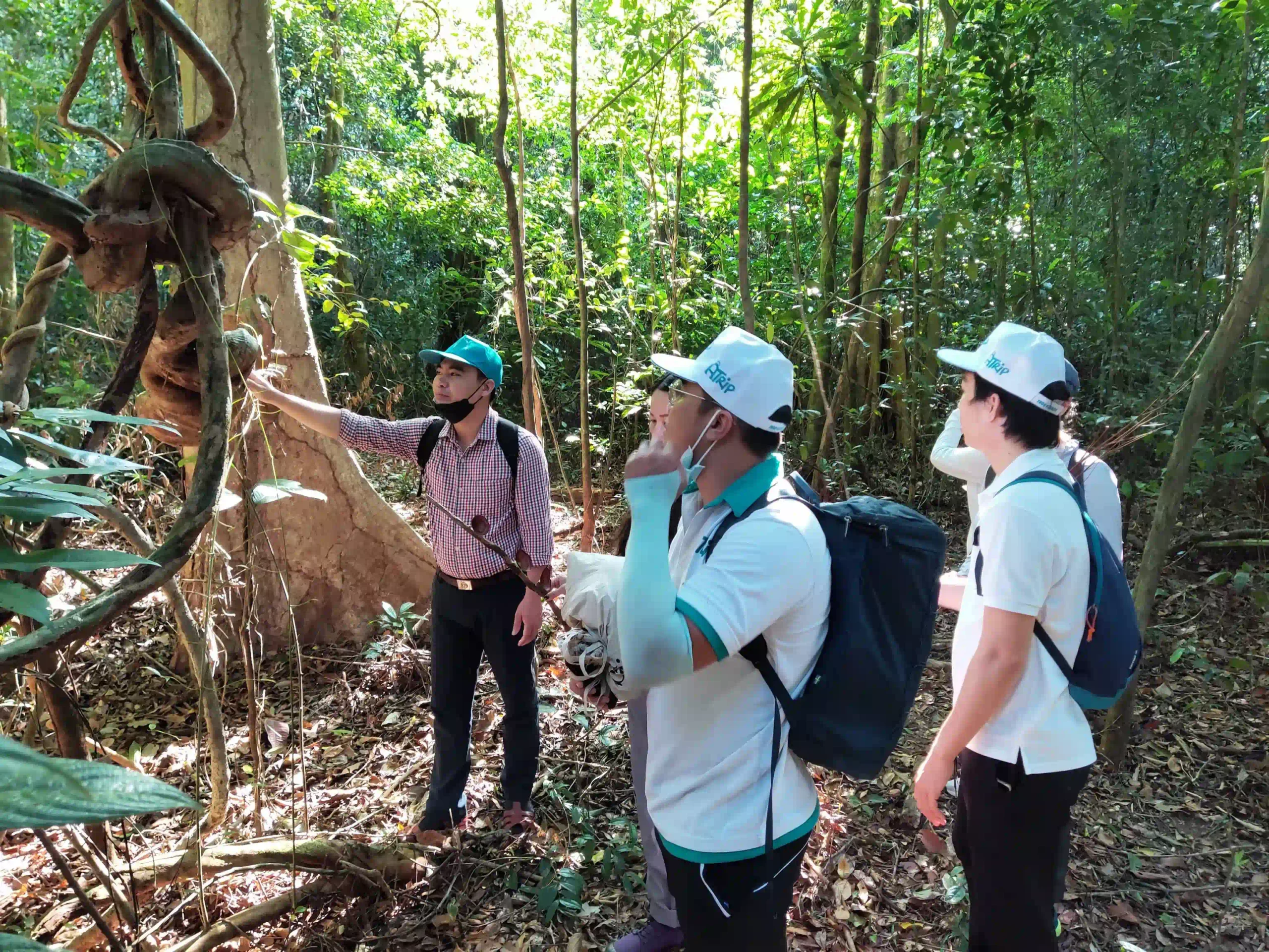 Inside Phu Quoc National Park trekking tour: Is it worth it? 9 Phu Quoc National Park trekking tour