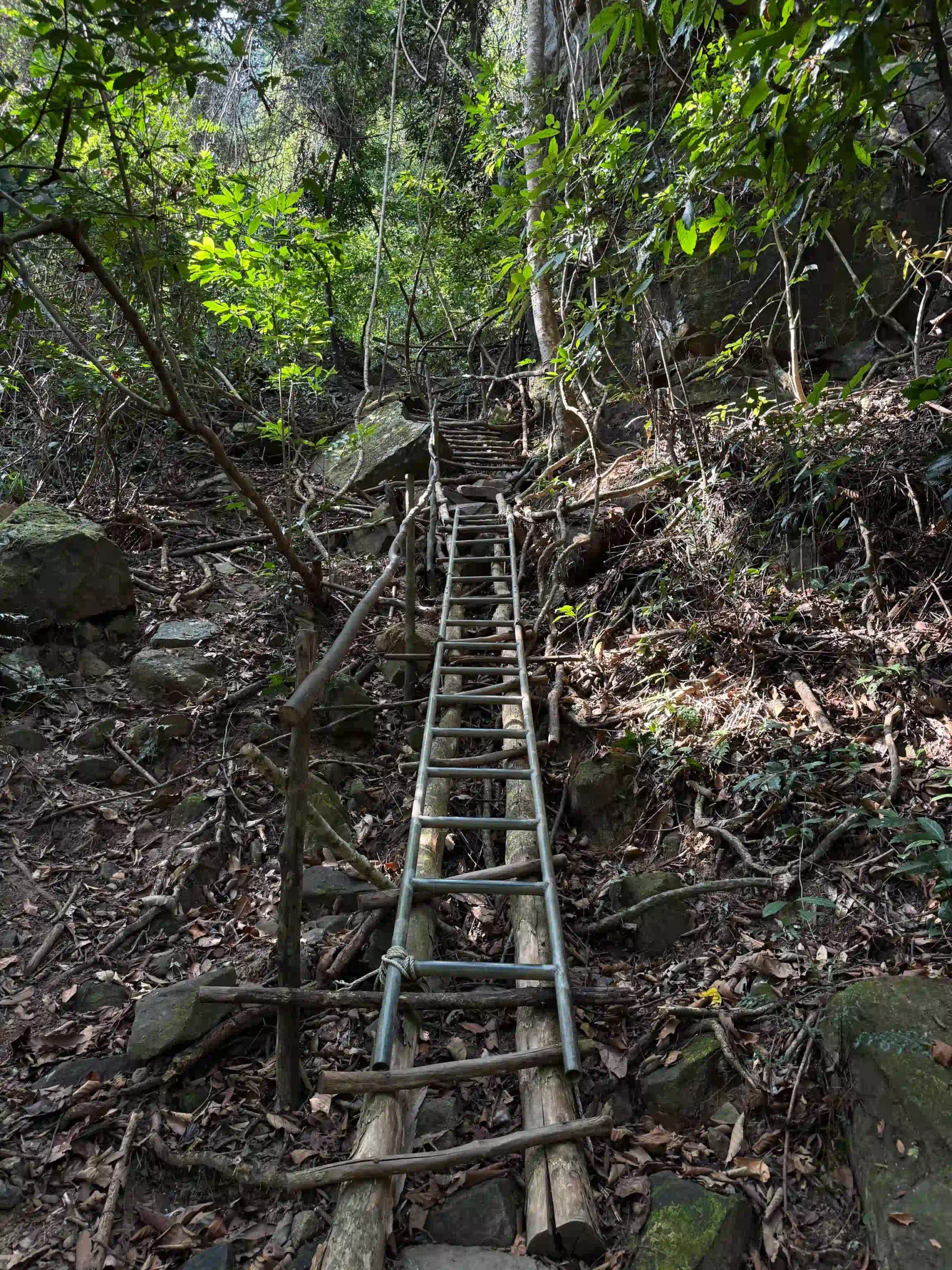 Inside Phu Quoc National Park trekking tour: Is it worth it? 16 The climb phu quoc national park trekking scaled Vietadvisor