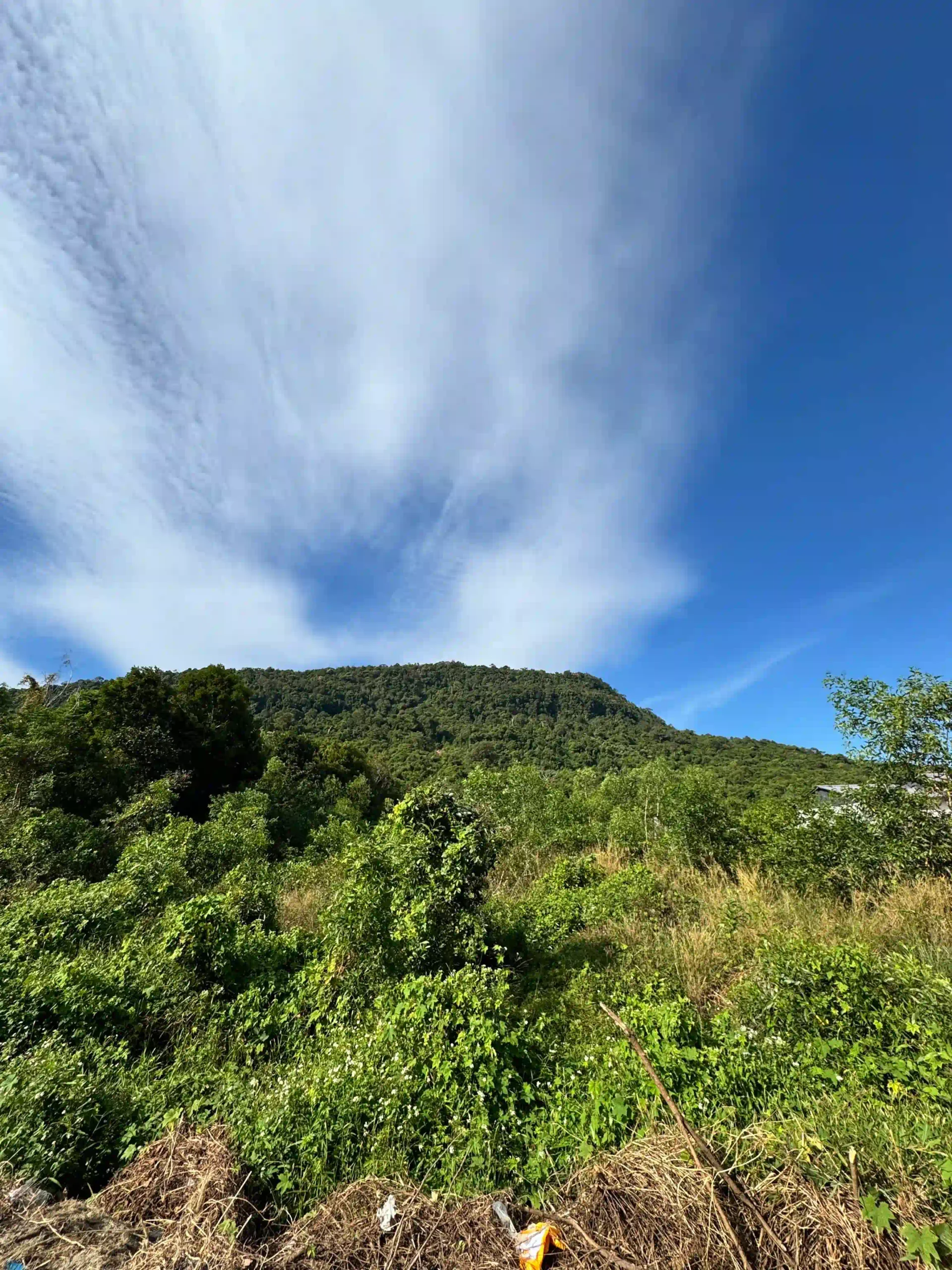 Inside Phu Quoc National Park trekking tour: Is it worth it? 18 The summit tien son dinh phu quoc 4 scaled Vietadvisor