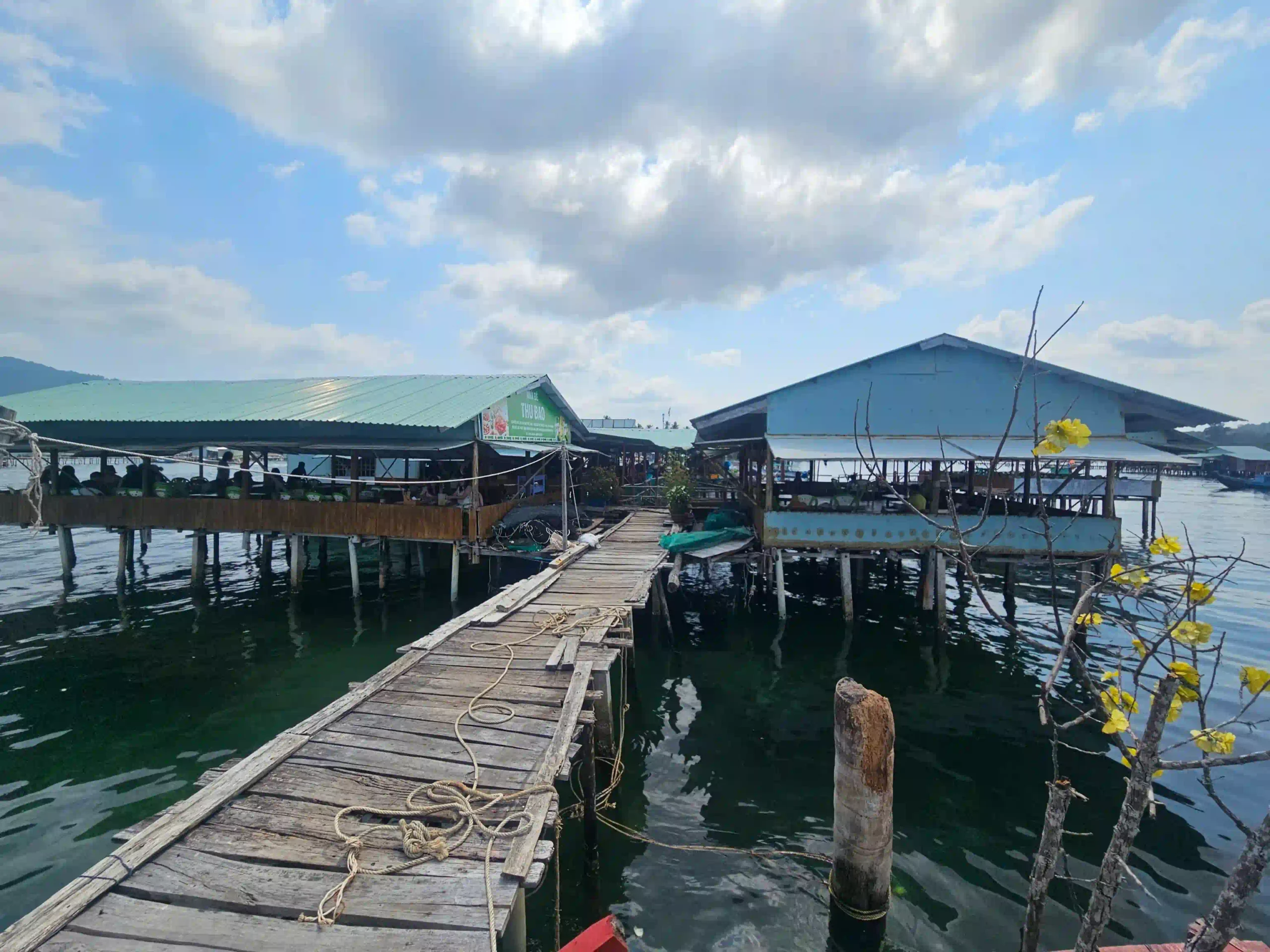 5 best places to eat in Phu Quoc I always return to in 2026 23 Thu Bao Rach Vem 4 scaled Vietadvisor