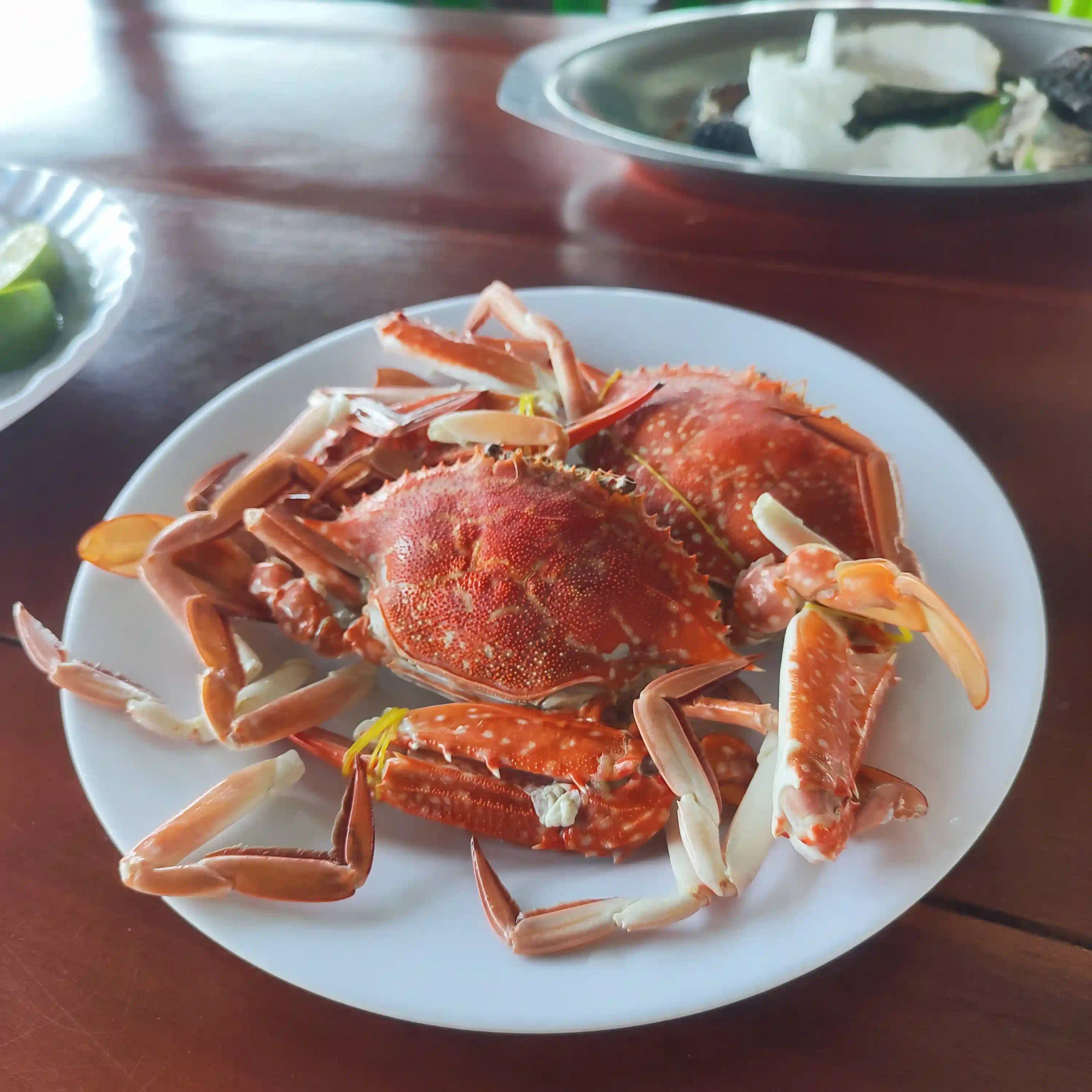 5 best places to eat in Phu Quoc I always return to in 2026 19 Thu Bao Rach Vem scaled Vietadvisor