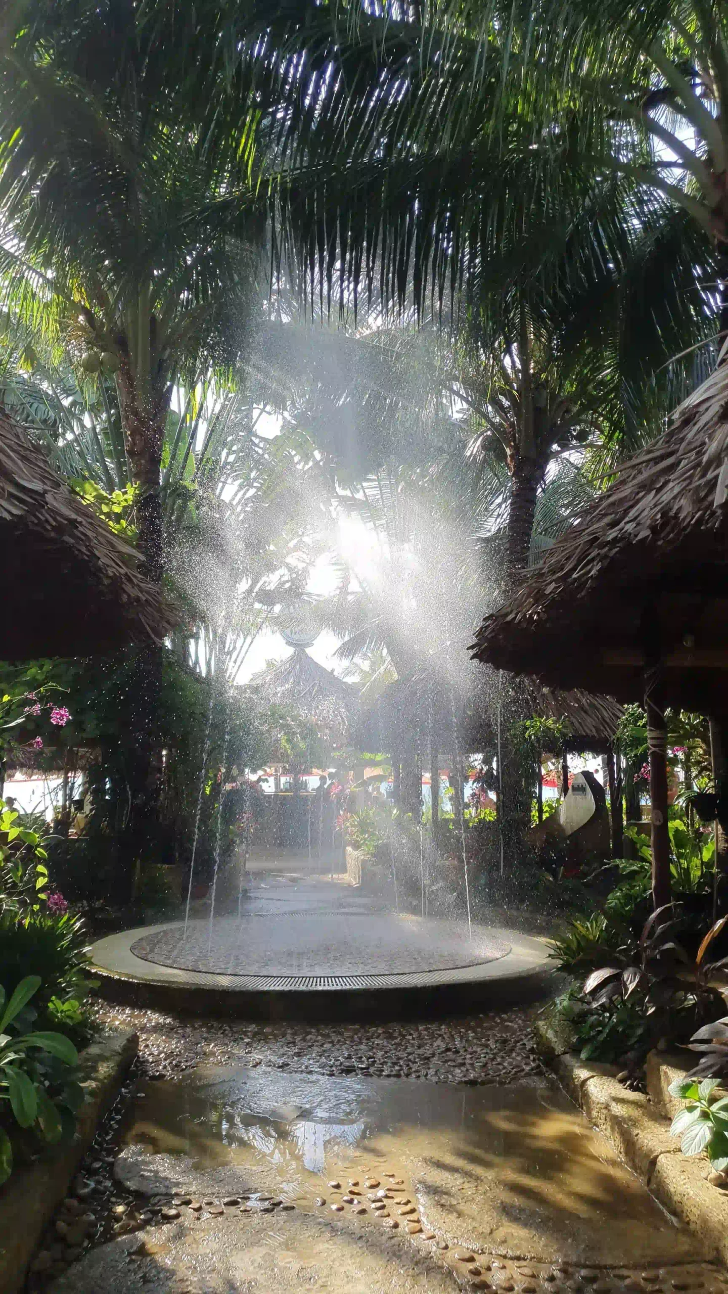 What to do in Phu Quoc when it rains: My go-to plan 13 Versailes mud bath when phu quoc rains 3 scaled Vietadvisor