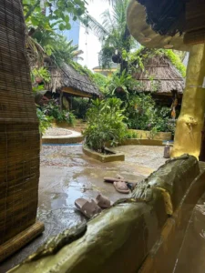 Versailes mud bath when phu quoc rains 4