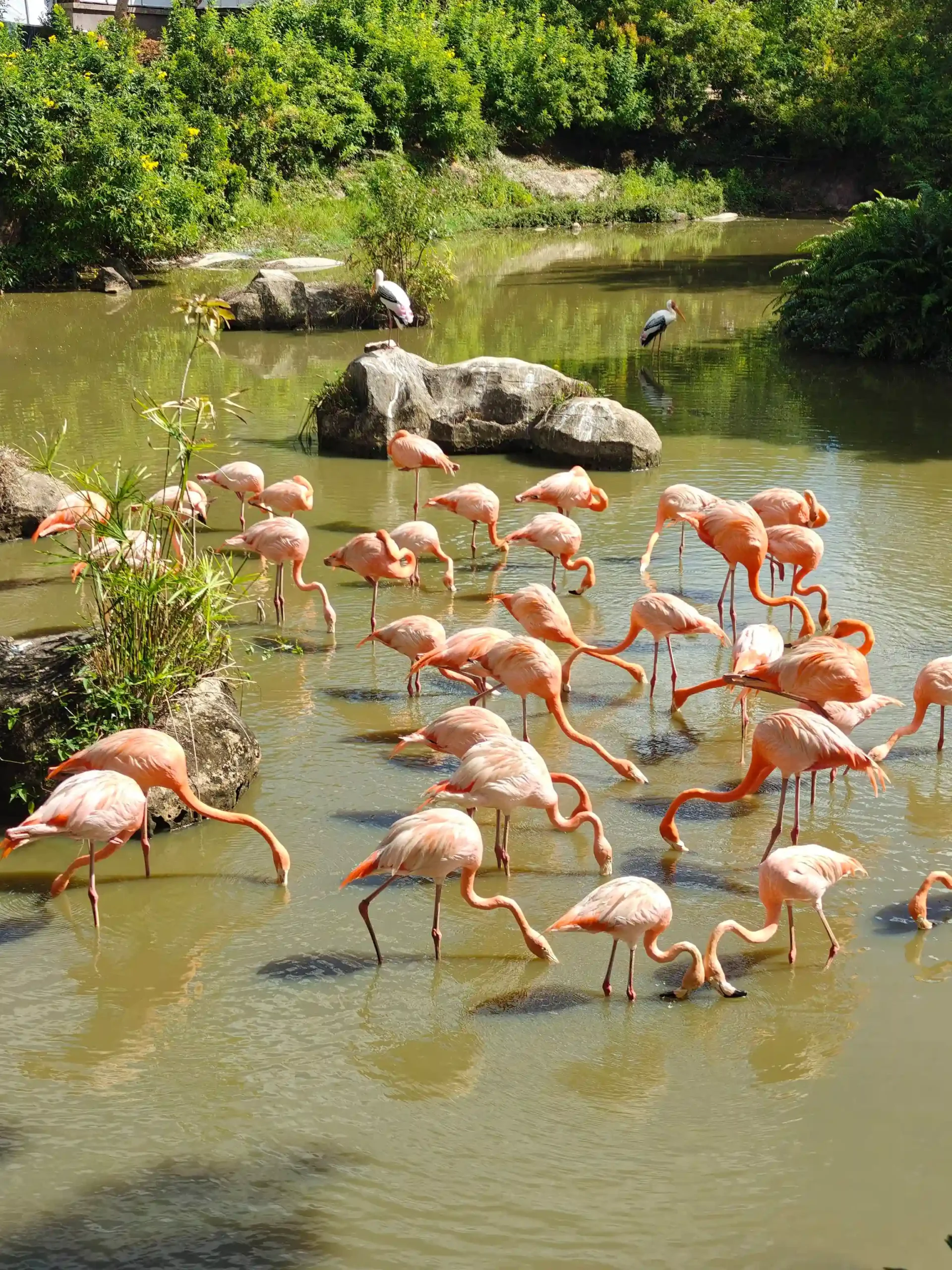 All the best things to do in Phu Quoc as a first-timer 47 VinWonders and Vinpearl Safari 3 scaled Vietadvisor