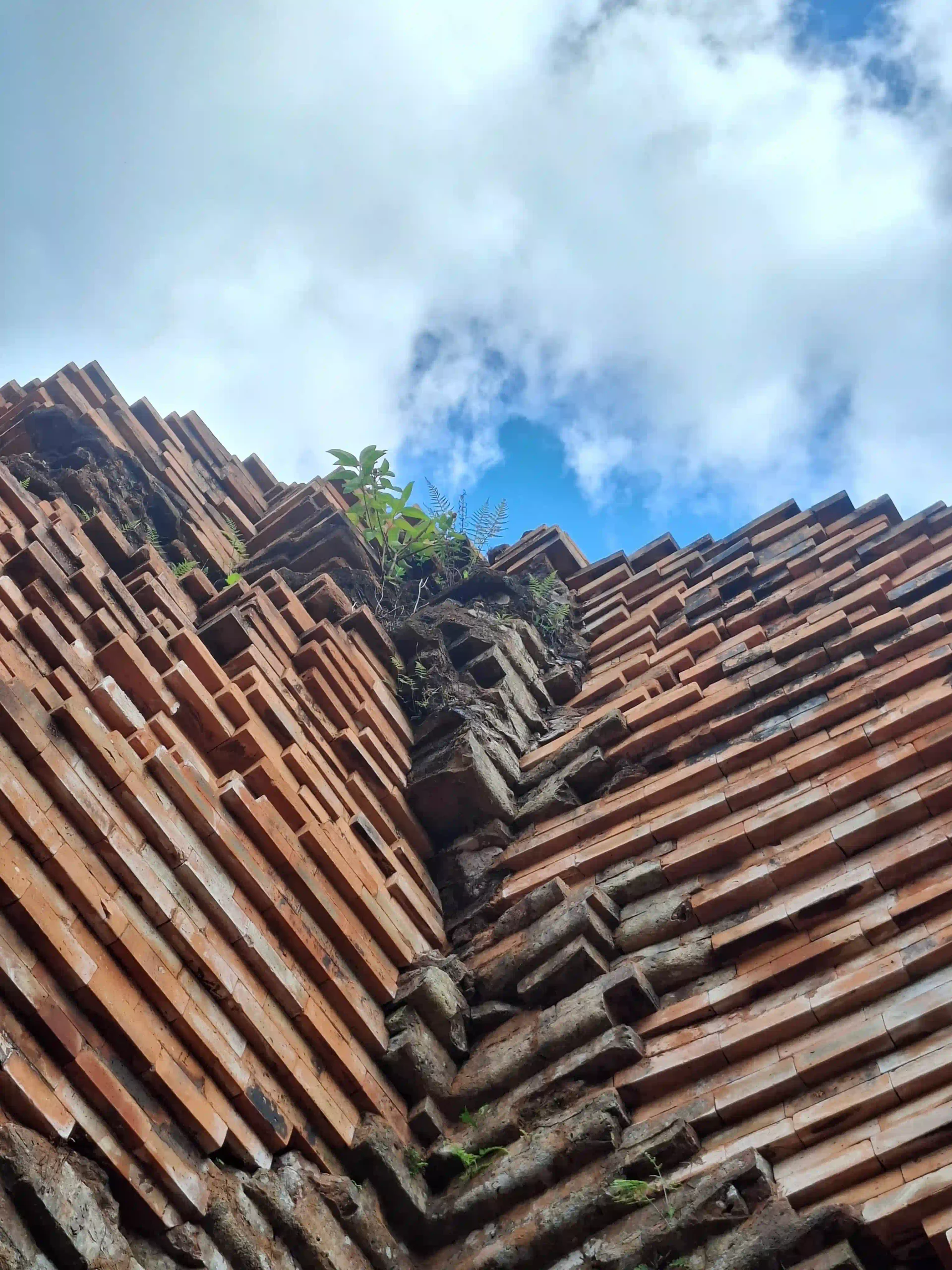 Visit My Son Sanctuary from Hoi An: Motorbike or tour? 21 Whats Actually Left to See in my son sanctuary 12 scaled Vietadvisor