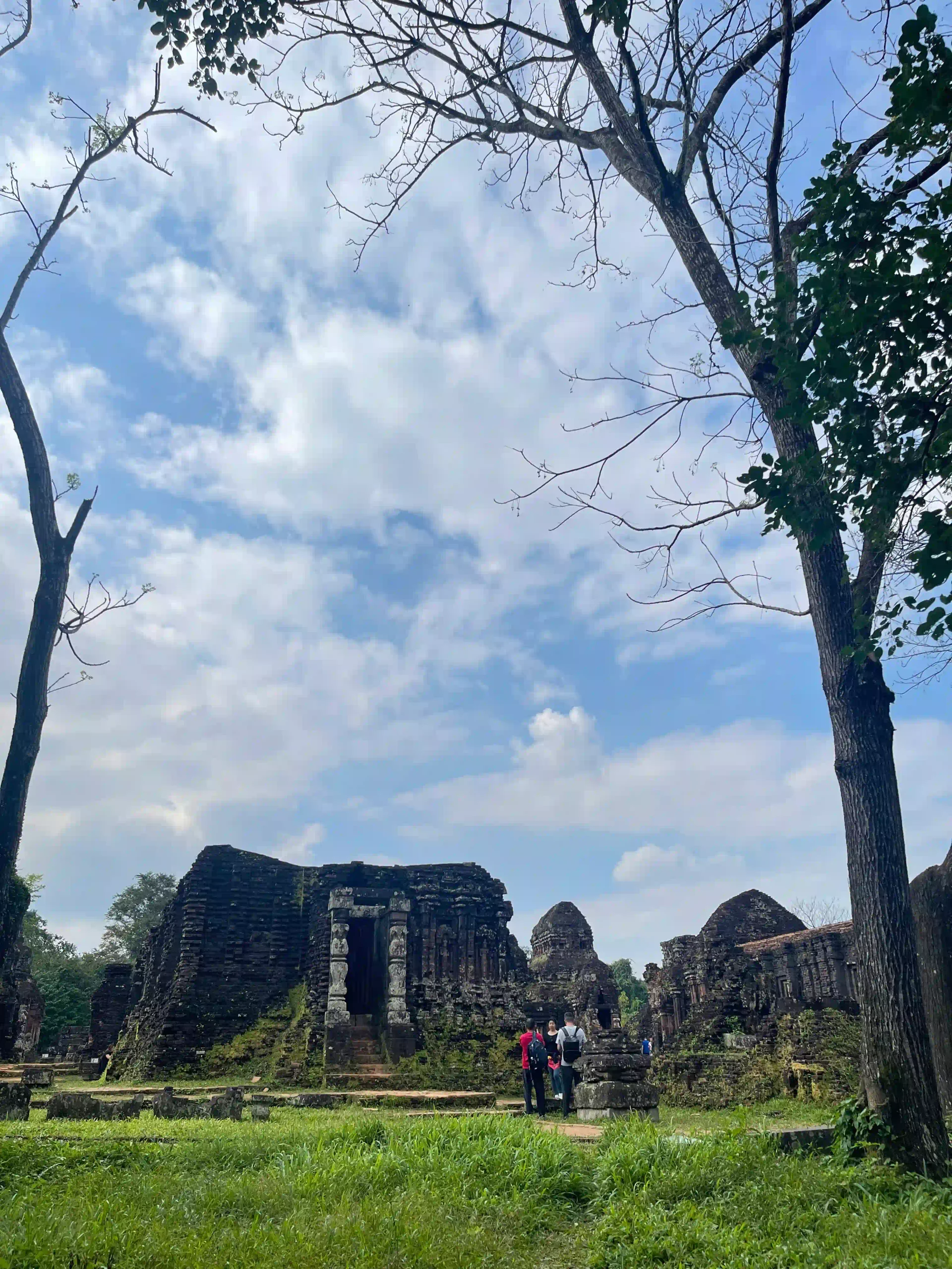 Visit My Son Sanctuary from Hoi An: Motorbike or tour? 16 Whats Actually Left to See in my son sanctuary scaled Vietadvisor
