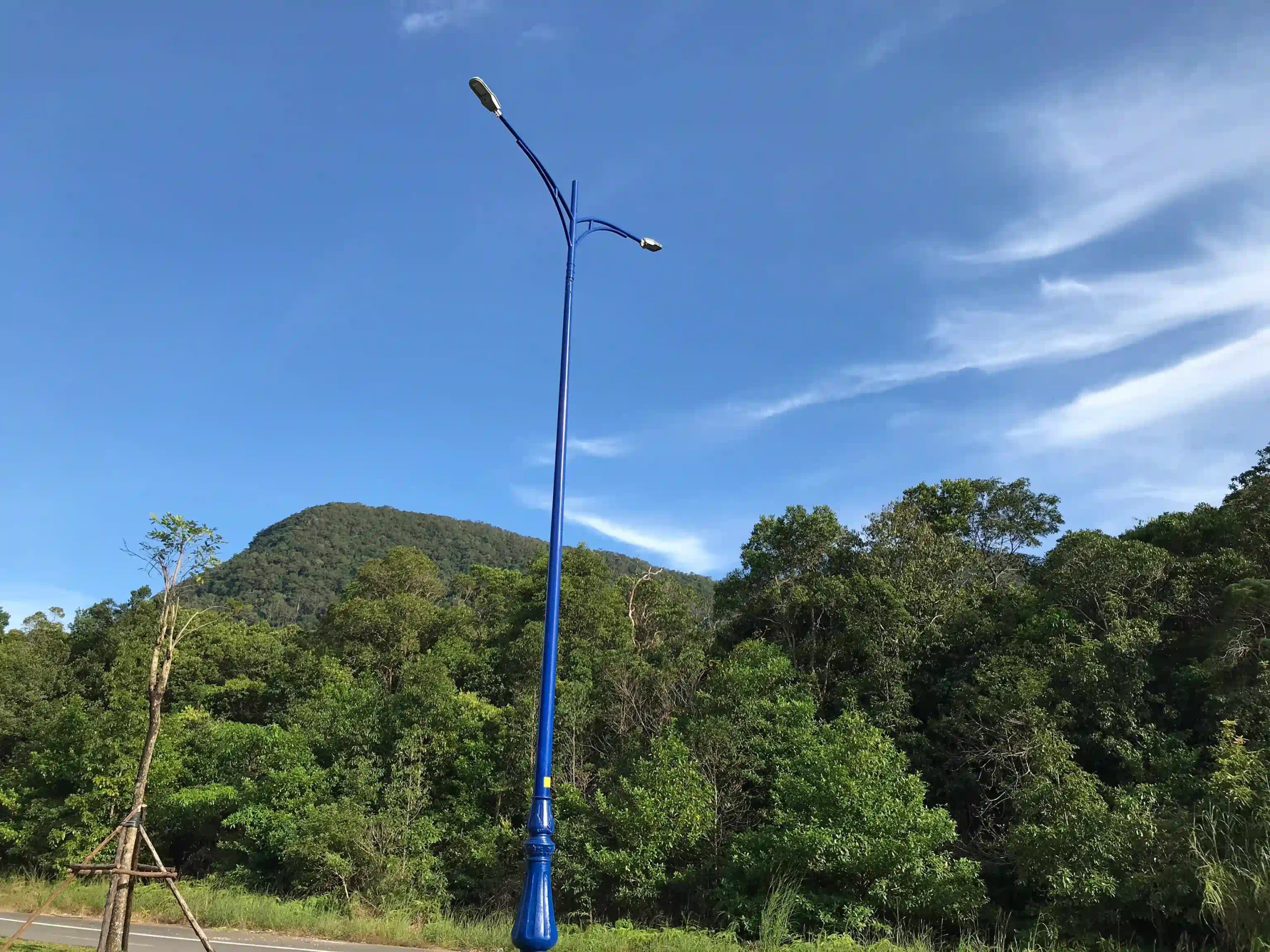 Inside Phu Quoc National Park trekking tour: Is it worth it? 2 Whats Actually in Phu Quoc National Park scaled Vietadvisor