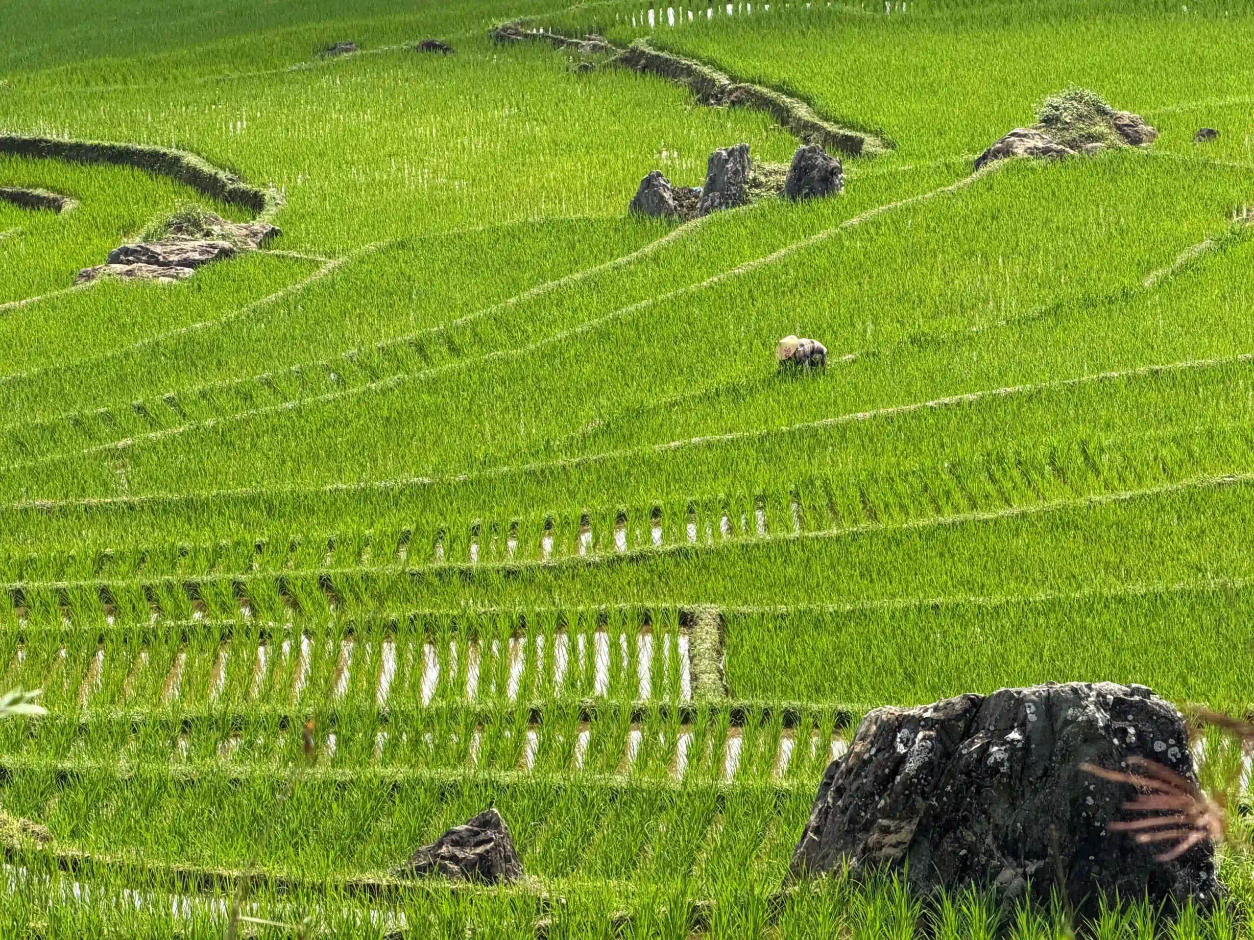 How I traveled from Ninh Binh to Pu Luong with ease (2026) 22 best time to visit pu luong 2 scaled Vietadvisor
