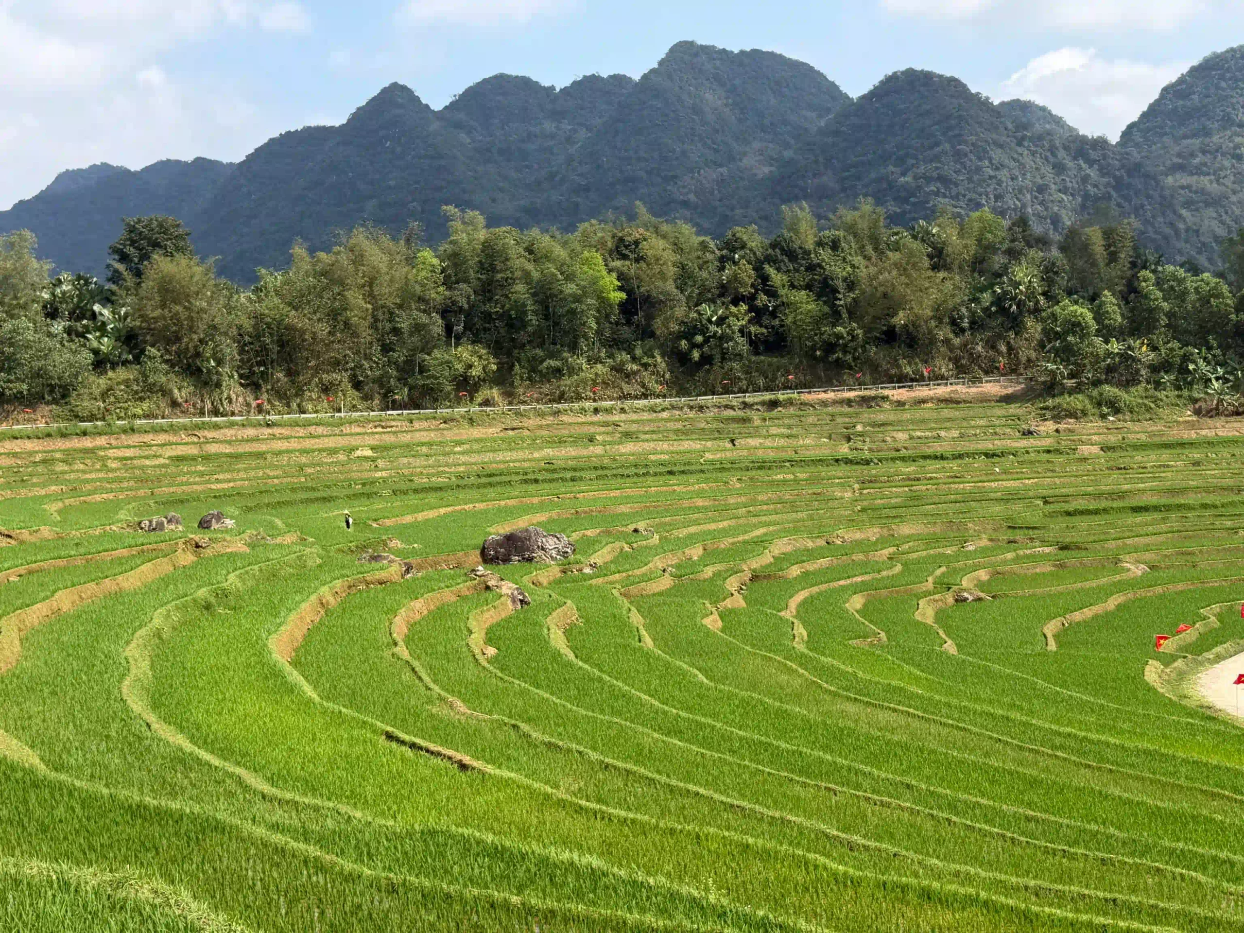 How I traveled from Ninh Binh to Pu Luong with ease (2026) 21 best time to visit pu luong scaled Vietadvisor