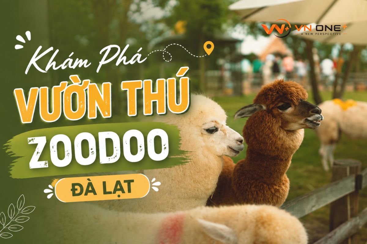 vuon zoodoo chinh Vietadvisor