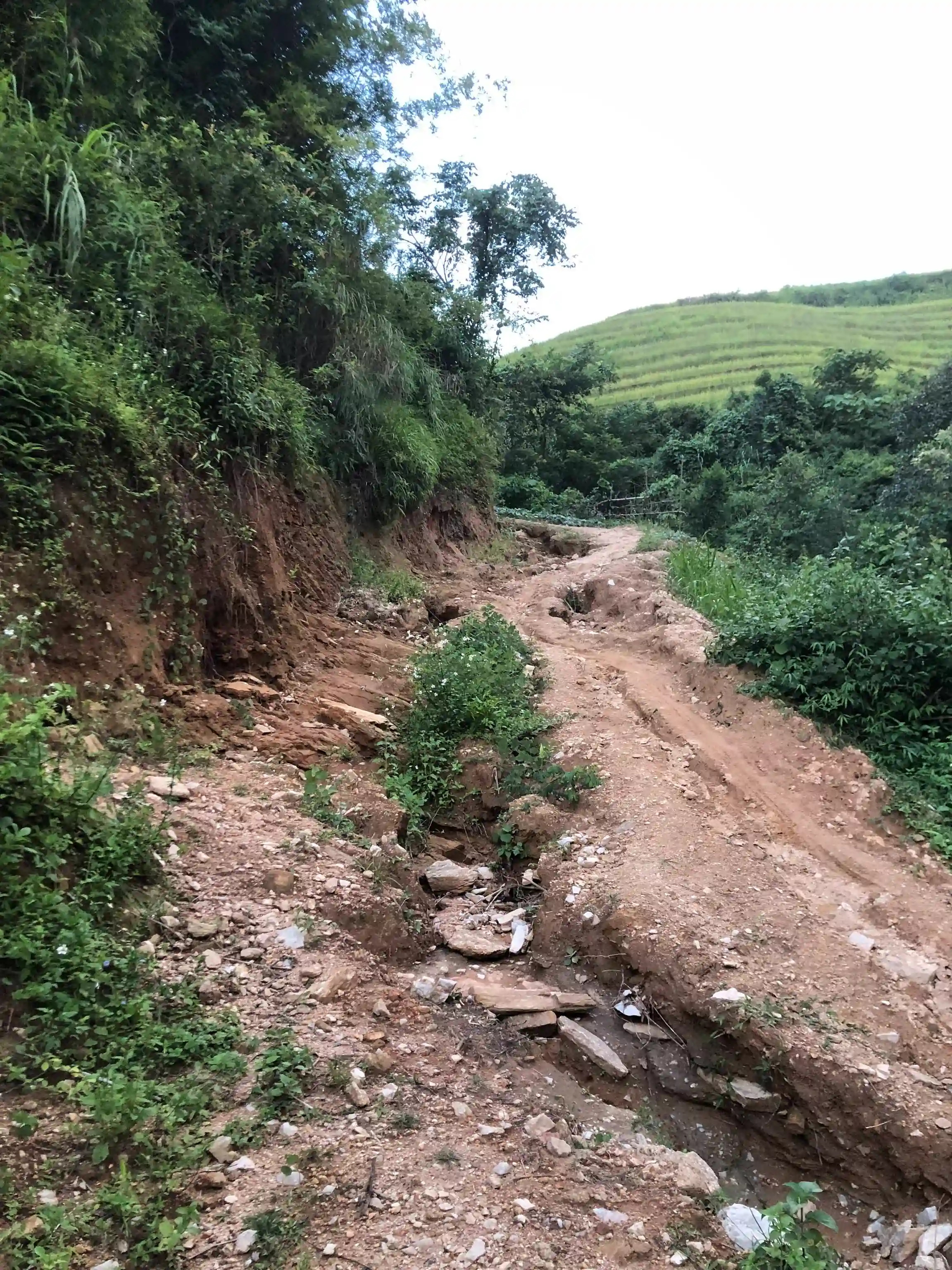 Hoang Su Phi trekking guide: My firsthand experience (2026) 23 Ban Luoc to Nam Ty to Thong Nguyen 5 Vietadvisor