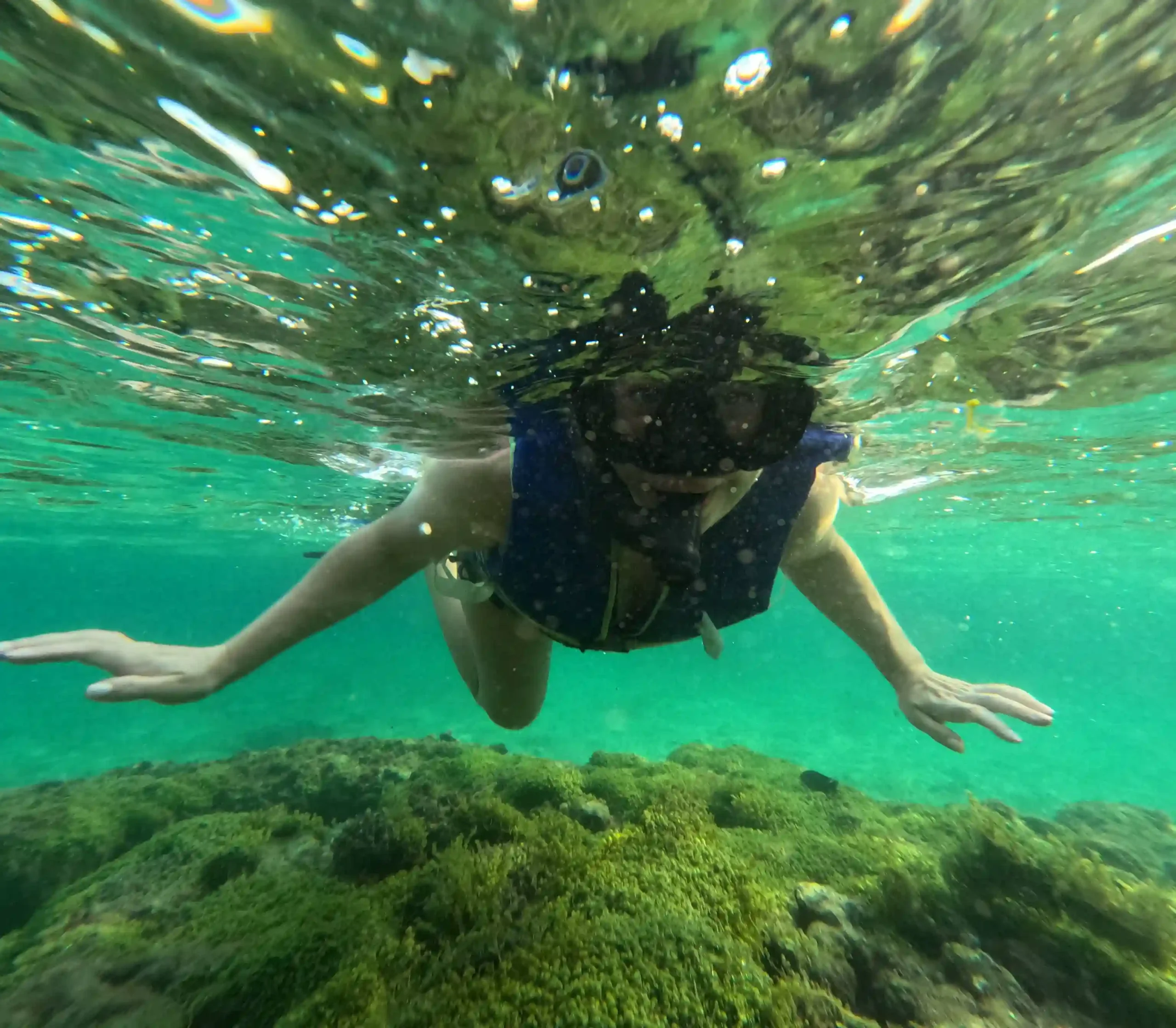 Hoi An to Cham Island scuba diving: My first-time review 9 Cham Island Snorkeling activities 5 scaled Vietadvisor